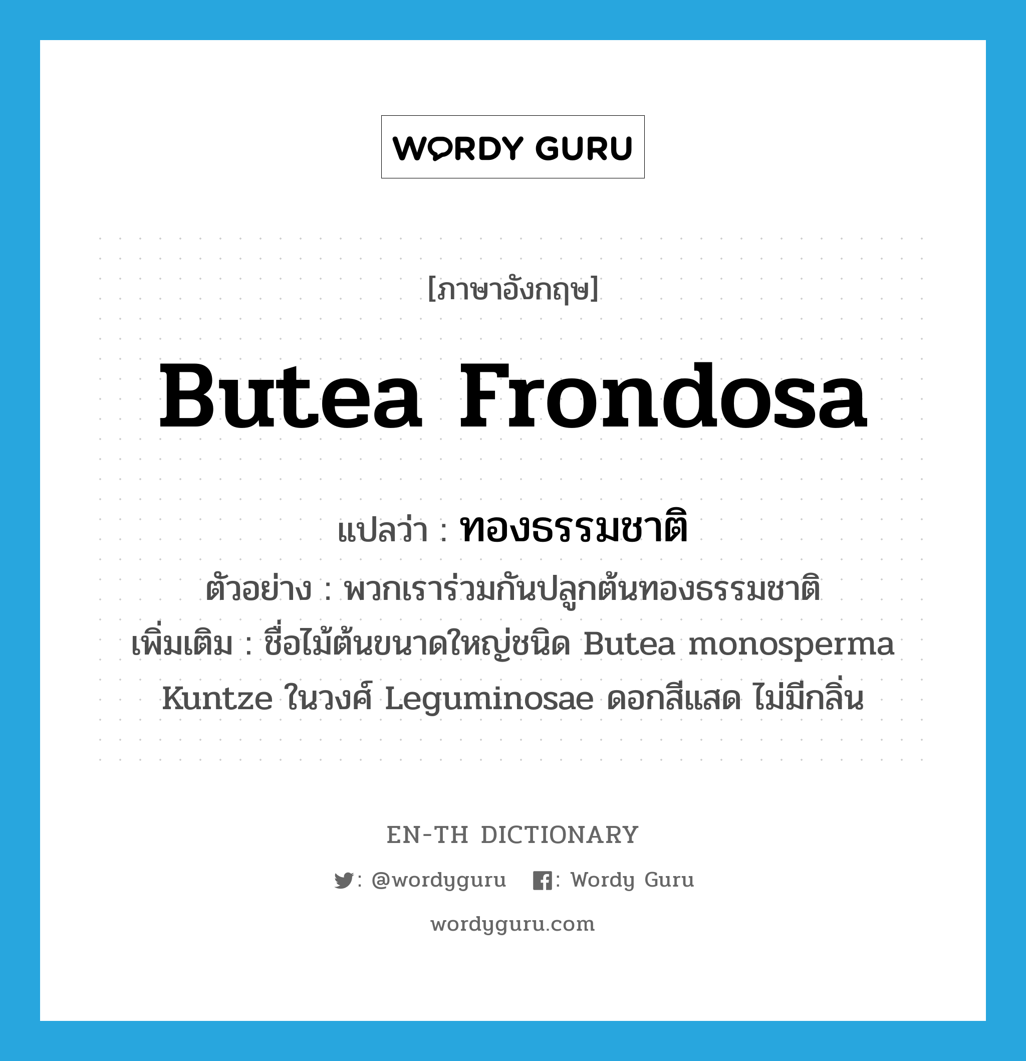 Butea frondosa แปลว่า?, คำศัพท์ภาษาอังกฤษ Butea frondosa แปลว่า ทองธรรมชาติ ประเภท N ตัวอย่าง พวกเราร่วมกันปลูกต้นทองธรรมชาติ เพิ่มเติม ชื่อไม้ต้นขนาดใหญ่ชนิด Butea monosperma Kuntze ในวงศ์ Leguminosae ดอกสีแสด ไม่มีกลิ่น หมวด N