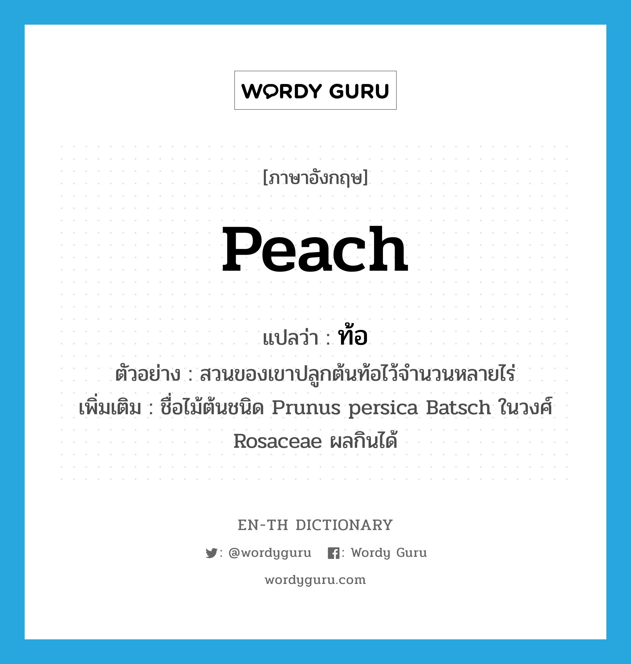 ท้อ ภาษาอังกฤษ?, คำศัพท์ภาษาอังกฤษ ท้อ แปลว่า peach ประเภท N ตัวอย่าง สวนของเขาปลูกต้นท้อไว้จำนวนหลายไร่ เพิ่มเติม ชื่อไม้ต้นชนิด Prunus persica Batsch ในวงศ์ Rosaceae ผลกินได้ หมวด N