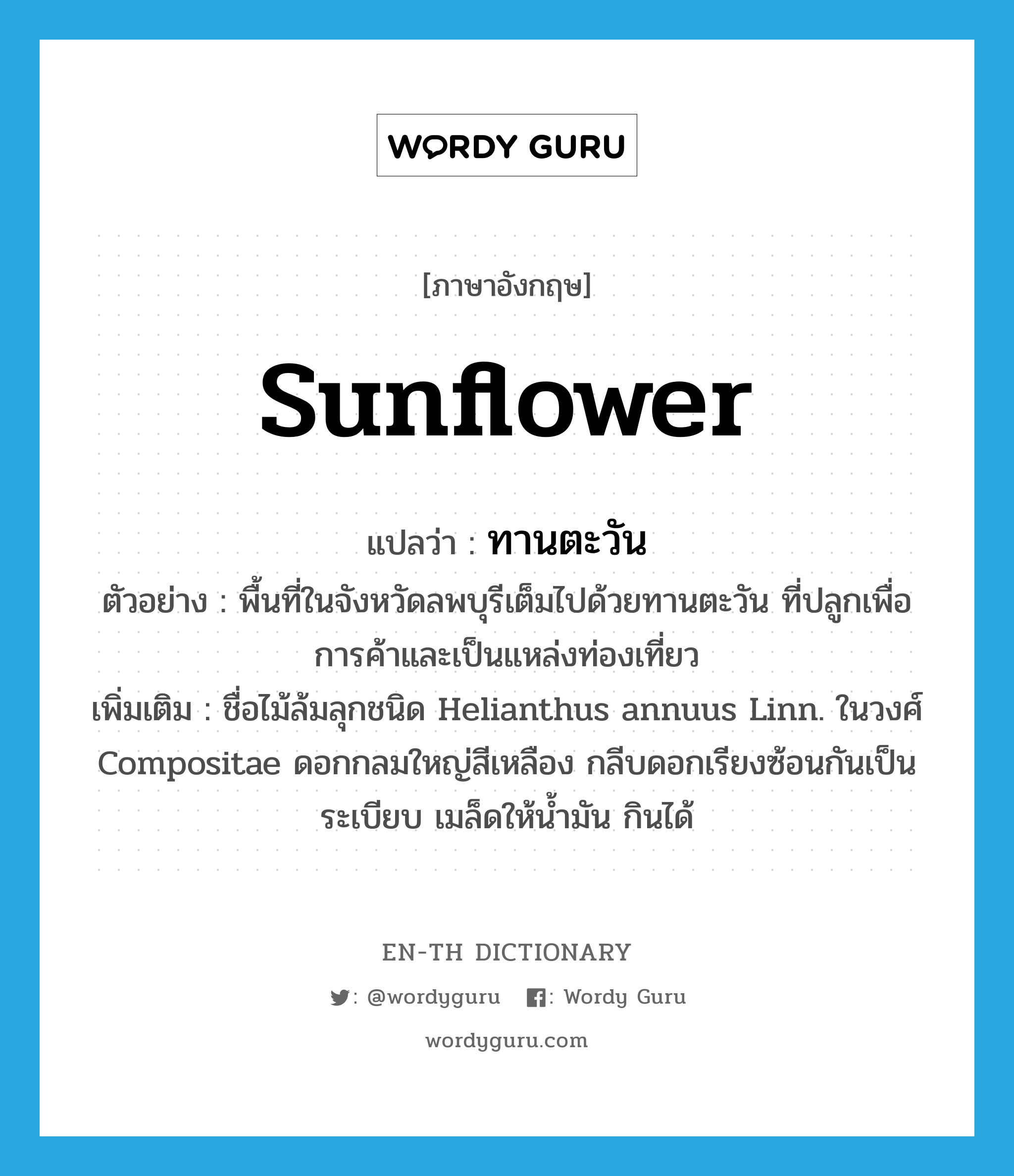 sunflower แปลว่า?, คำศัพท์ภาษาอังกฤษ sunflower แปลว่า ทานตะวัน ประเภท N ตัวอย่าง พื้นที่ในจังหวัดลพบุรีเต็มไปด้วยทานตะวัน ที่ปลูกเพื่อการค้าและเป็นแหล่งท่องเที่ยว เพิ่มเติม ชื่อไม้ล้มลุกชนิด Helianthus annuus Linn. ในวงศ์ Compositae ดอกกลมใหญ่สีเหลือง กลีบดอกเรียงซ้อนกันเป็นระเบียบ เมล็ดให้น้ำมัน กินได้ หมวด N