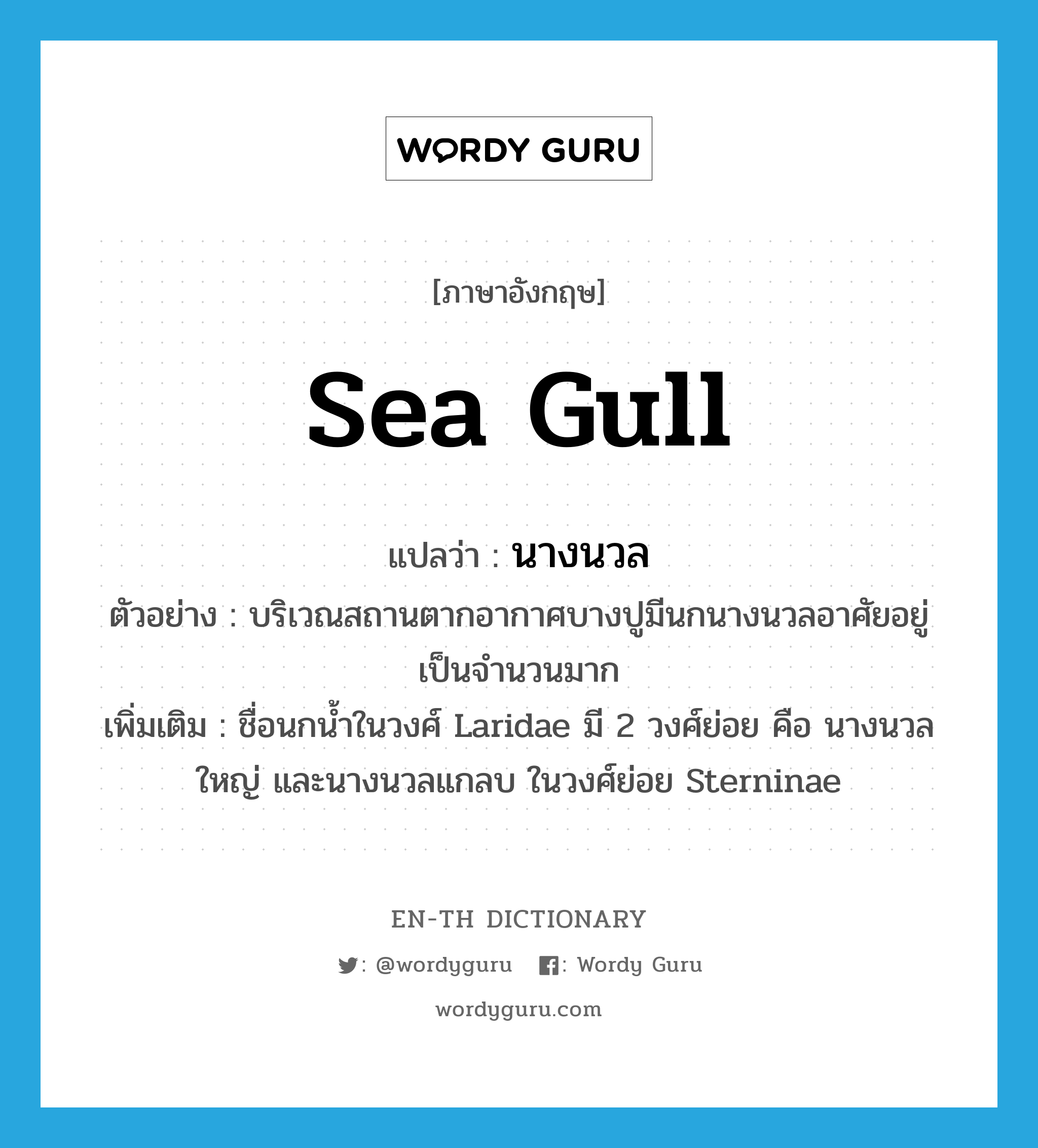 sea gull แปลว่า?, คำศัพท์ภาษาอังกฤษ sea gull แปลว่า นางนวล ประเภท N ตัวอย่าง บริเวณสถานตากอากาศบางปูมีนกนางนวลอาศัยอยู่เป็นจำนวนมาก เพิ่มเติม ชื่อนกน้ำในวงศ์ Laridae มี 2 วงศ์ย่อย คือ นางนวลใหญ่ และนางนวลแกลบ ในวงศ์ย่อย Sterninae หมวด N