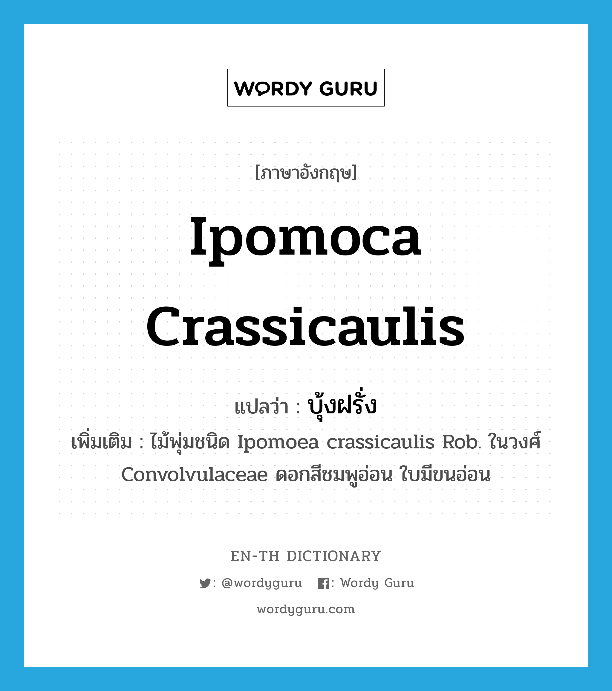 Ipomoca crassicaulis แปลว่า?, คำศัพท์ภาษาอังกฤษ Ipomoca crassicaulis แปลว่า บุ้งฝรั่ง ประเภท N เพิ่มเติม ไม้พุ่มชนิด Ipomoea crassicaulis Rob. ในวงศ์ Convolvulaceae ดอกสีชมพูอ่อน ใบมีขนอ่อน หมวด N