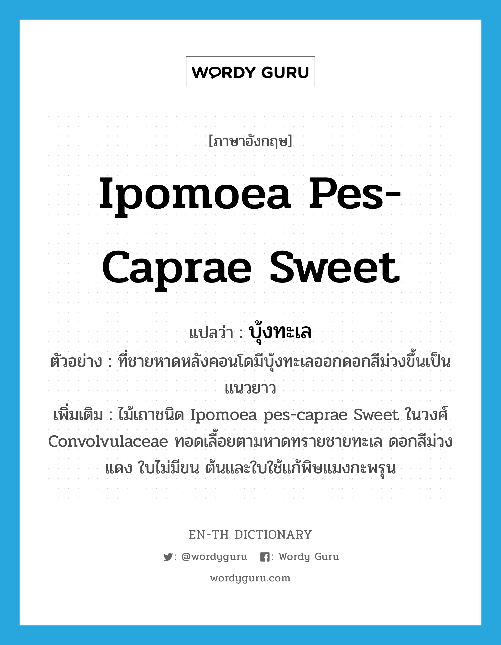 บุ้งทะเล ภาษาอังกฤษ?, คำศัพท์ภาษาอังกฤษ บุ้งทะเล แปลว่า Ipomoea pes-caprae Sweet ประเภท N ตัวอย่าง ที่ชายหาดหลังคอนโดมีบุ้งทะเลออกดอกสีม่วงขึ้นเป็นแนวยาว เพิ่มเติม ไม้เถาชนิด Ipomoea pes-caprae Sweet ในวงศ์ Convolvulaceae ทอดเลื้อยตามหาดทรายชายทะเล ดอกสีม่วงแดง ใบไม่มีขน ต้นและใบใช้แก้พิษแมงกะพรุน หมวด N