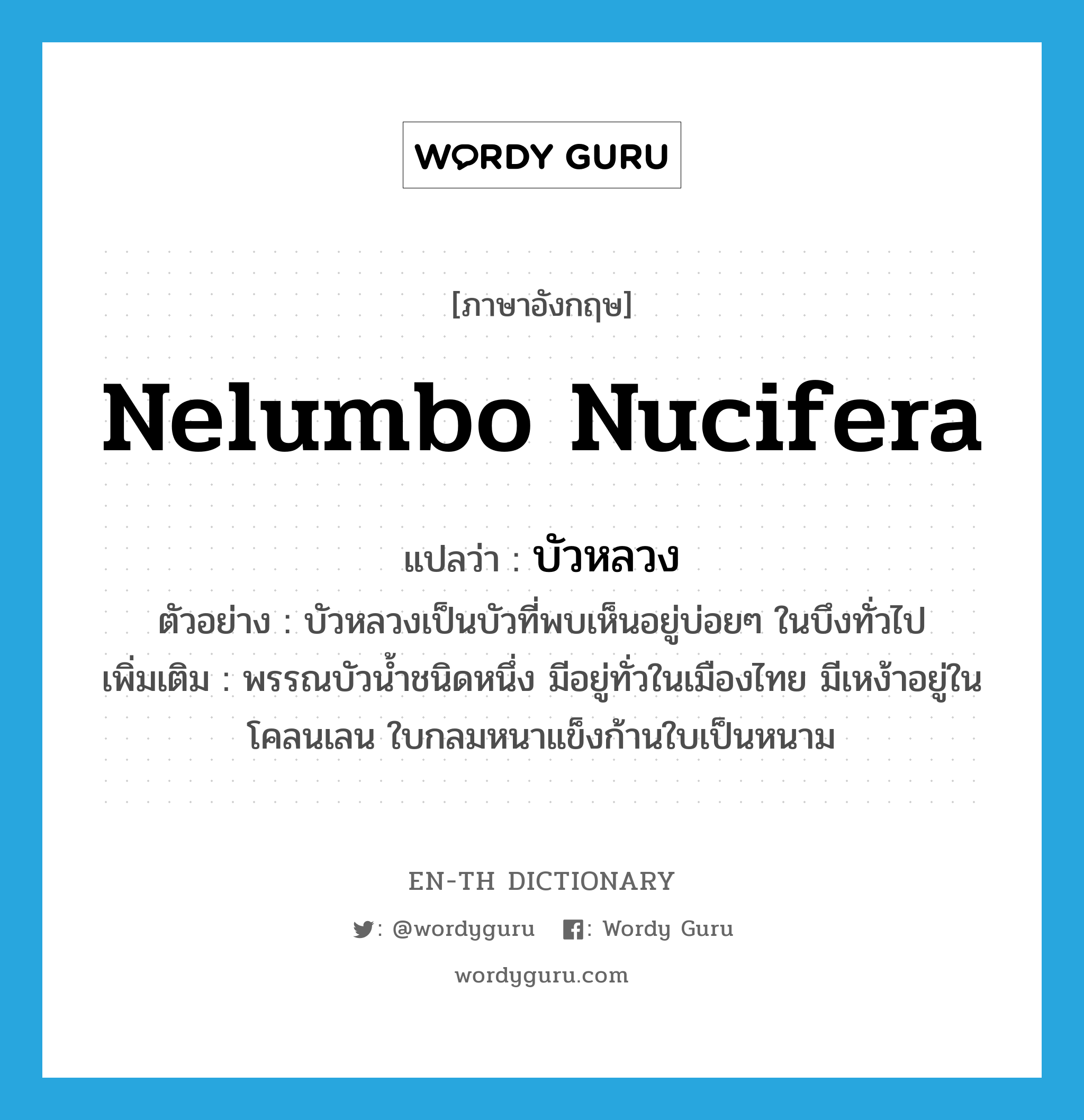 Nelumbo nucifera แปลว่า?, คำศัพท์ภาษาอังกฤษ Nelumbo nucifera แปลว่า บัวหลวง ประเภท N ตัวอย่าง บัวหลวงเป็นบัวที่พบเห็นอยู่บ่อยๆ ในบึงทั่วไป เพิ่มเติม พรรณบัวน้ำชนิดหนึ่ง มีอยู่ทั่วในเมืองไทย มีเหง้าอยู่ในโคลนเลน ใบกลมหนาแข็งก้านใบเป็นหนาม หมวด N