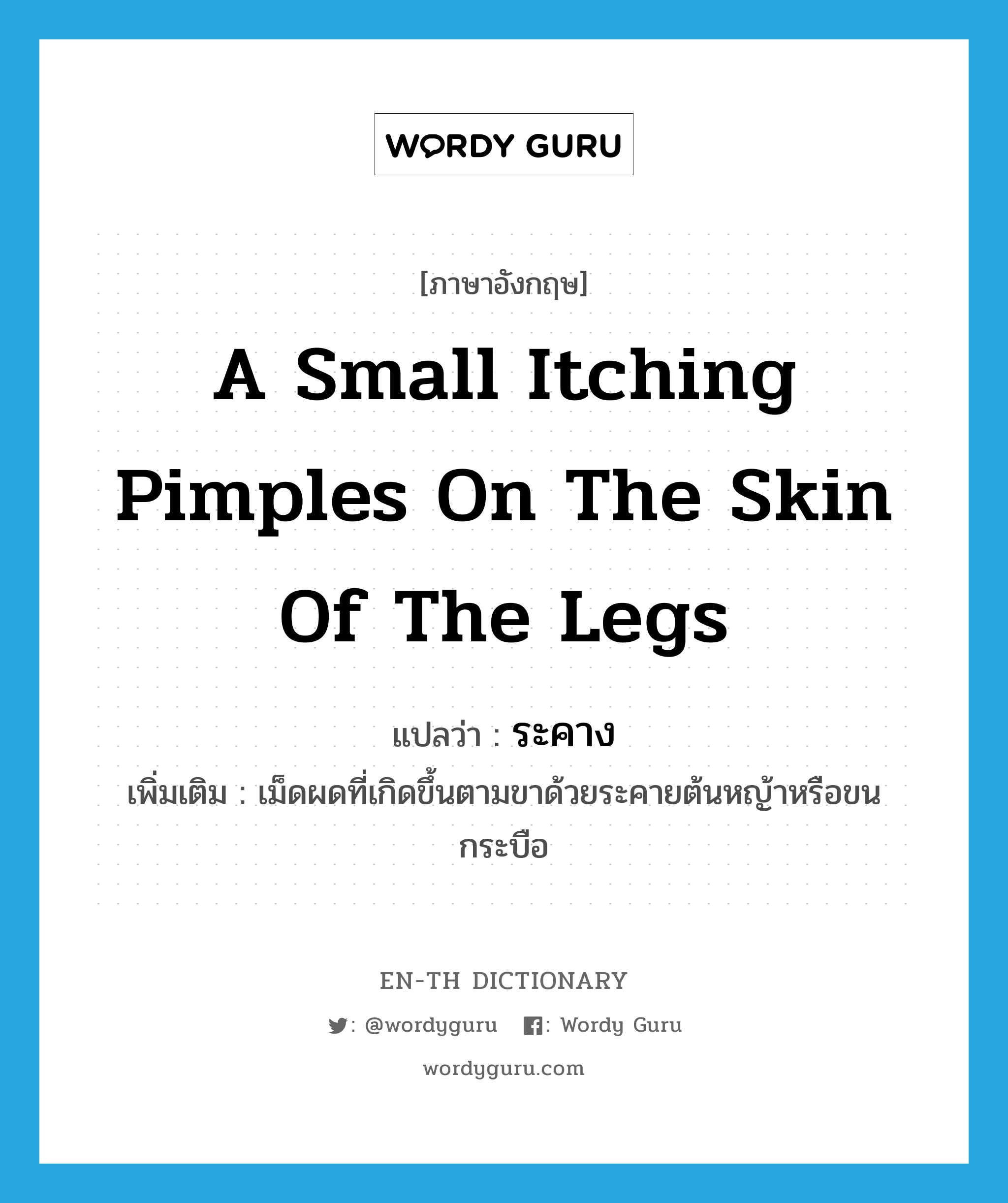 a small itching pimples on the skin of the legs แปลว่า?, คำศัพท์ภาษาอังกฤษ a small itching pimples on the skin of the legs แปลว่า ระคาง ประเภท N เพิ่มเติม เม็ดผดที่เกิดขึ้นตามขาด้วยระคายต้นหญ้าหรือขนกระบือ หมวด N
