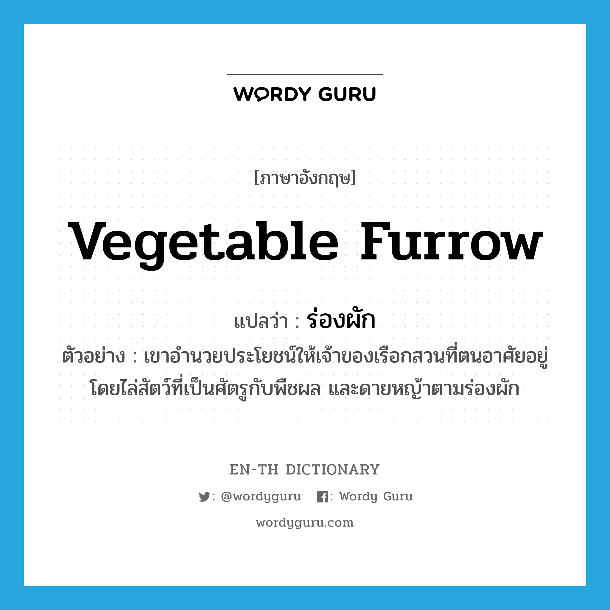 vegetable furrow แปลว่า?, คำศัพท์ภาษาอังกฤษ vegetable furrow แปลว่า ร่องผัก ประเภท N ตัวอย่าง เขาอำนวยประโยชน์ให้เจ้าของเรือกสวนที่ตนอาศัยอยู่ โดยไล่สัตว์ที่เป็นศัตรูกับพืชผล และดายหญ้าตามร่องผัก หมวด N