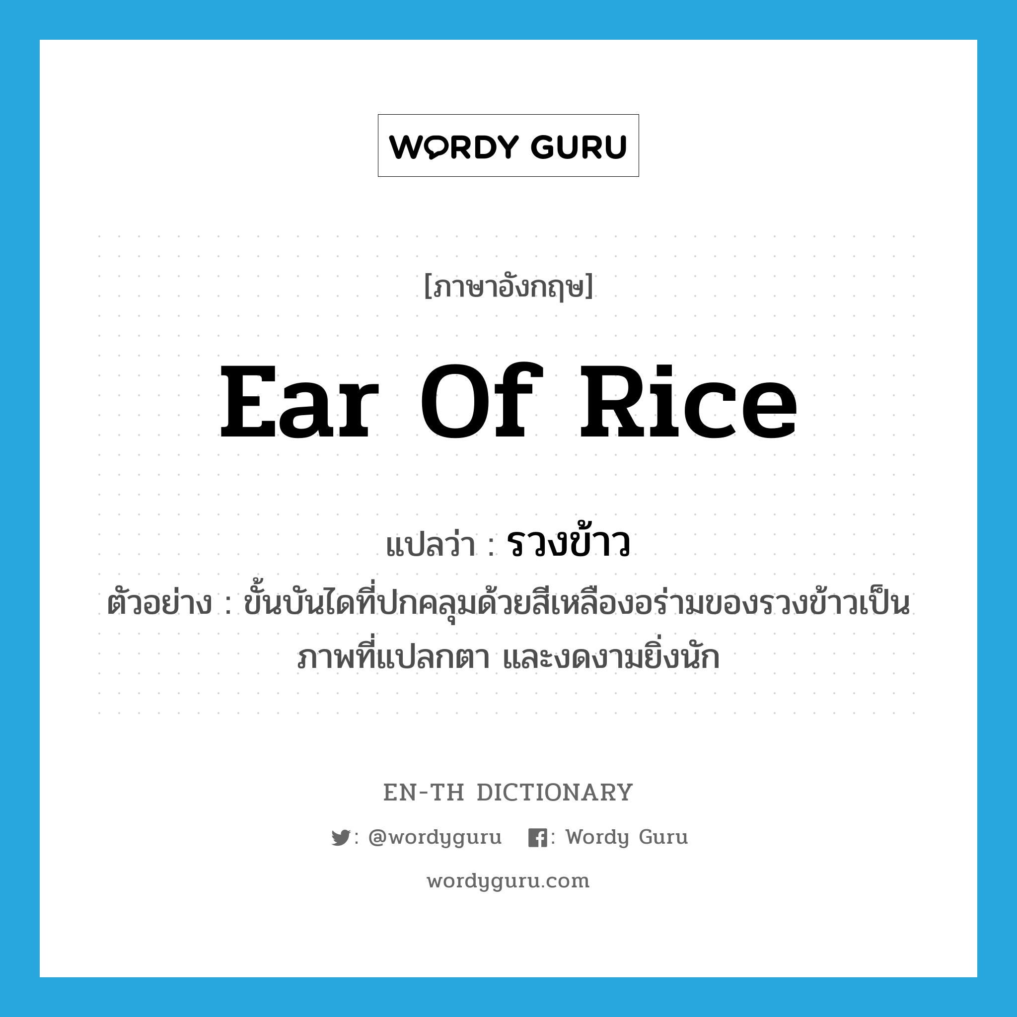 ear of rice แปลว่า?, คำศัพท์ภาษาอังกฤษ ear of rice แปลว่า รวงข้าว ประเภท N ตัวอย่าง ขั้นบันไดที่ปกคลุมด้วยสีเหลืองอร่ามของรวงข้าวเป็นภาพที่แปลกตา และงดงามยิ่งนัก หมวด N