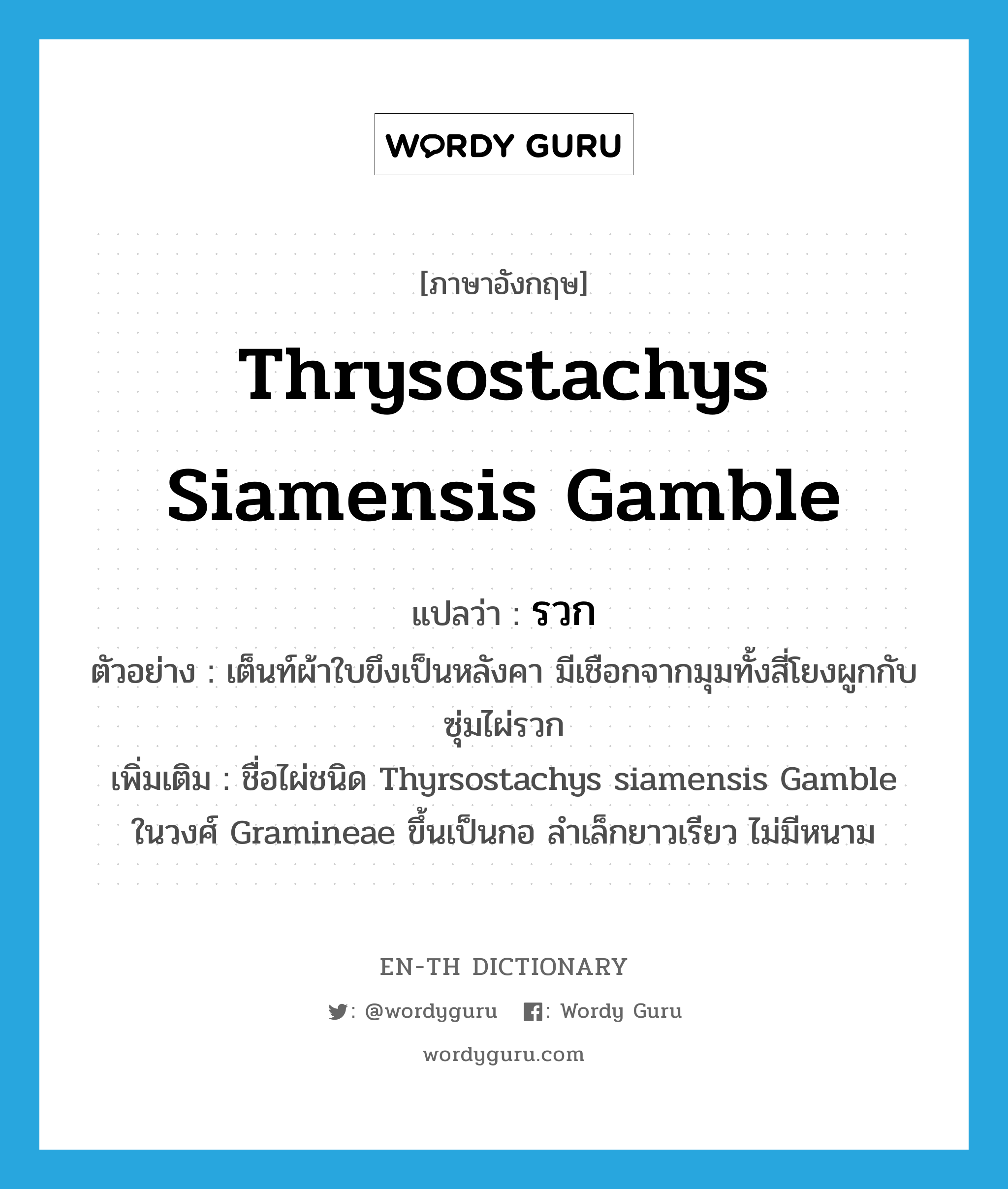 Thrysostachys siamensis Gamble แปลว่า?, คำศัพท์ภาษาอังกฤษ Thrysostachys siamensis Gamble แปลว่า รวก ประเภท N ตัวอย่าง เต็นท์ผ้าใบขึงเป็นหลังคา มีเชือกจากมุมทั้งสี่โยงผูกกับซุ่มไผ่รวก เพิ่มเติม ชื่อไผ่ชนิด Thyrsostachys siamensis Gamble ในวงศ์ Gramineae ขึ้นเป็นกอ ลำเล็กยาวเรียว ไม่มีหนาม หมวด N