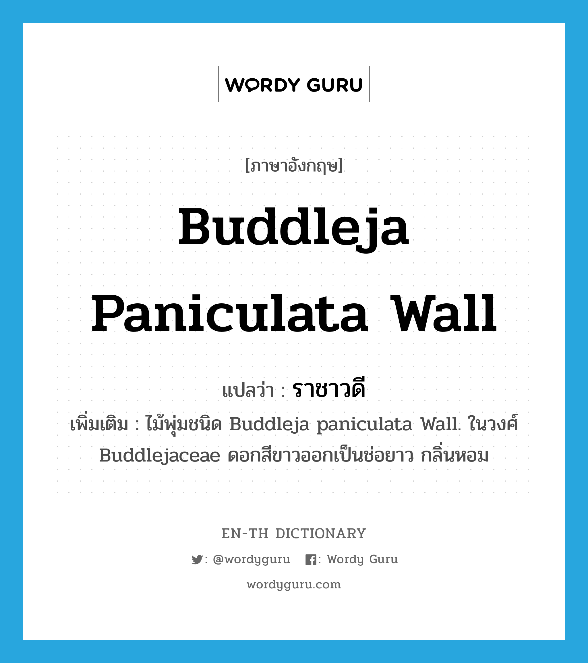 Buddleja paniculata Wall แปลว่า?, คำศัพท์ภาษาอังกฤษ Buddleja paniculata Wall แปลว่า ราชาวดี ประเภท N เพิ่มเติม ไม้พุ่มชนิด Buddleja paniculata Wall. ในวงศ์ Buddlejaceae ดอกสีขาวออกเป็นช่อยาว กลิ่นหอม หมวด N