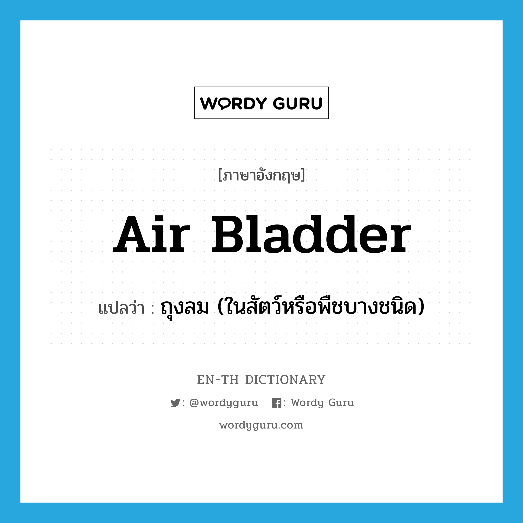 air bladder แปลว่า?, คำศัพท์ภาษาอังกฤษ air bladder แปลว่า ถุงลม (ในสัตว์หรือพืชบางชนิด) ประเภท N หมวด N