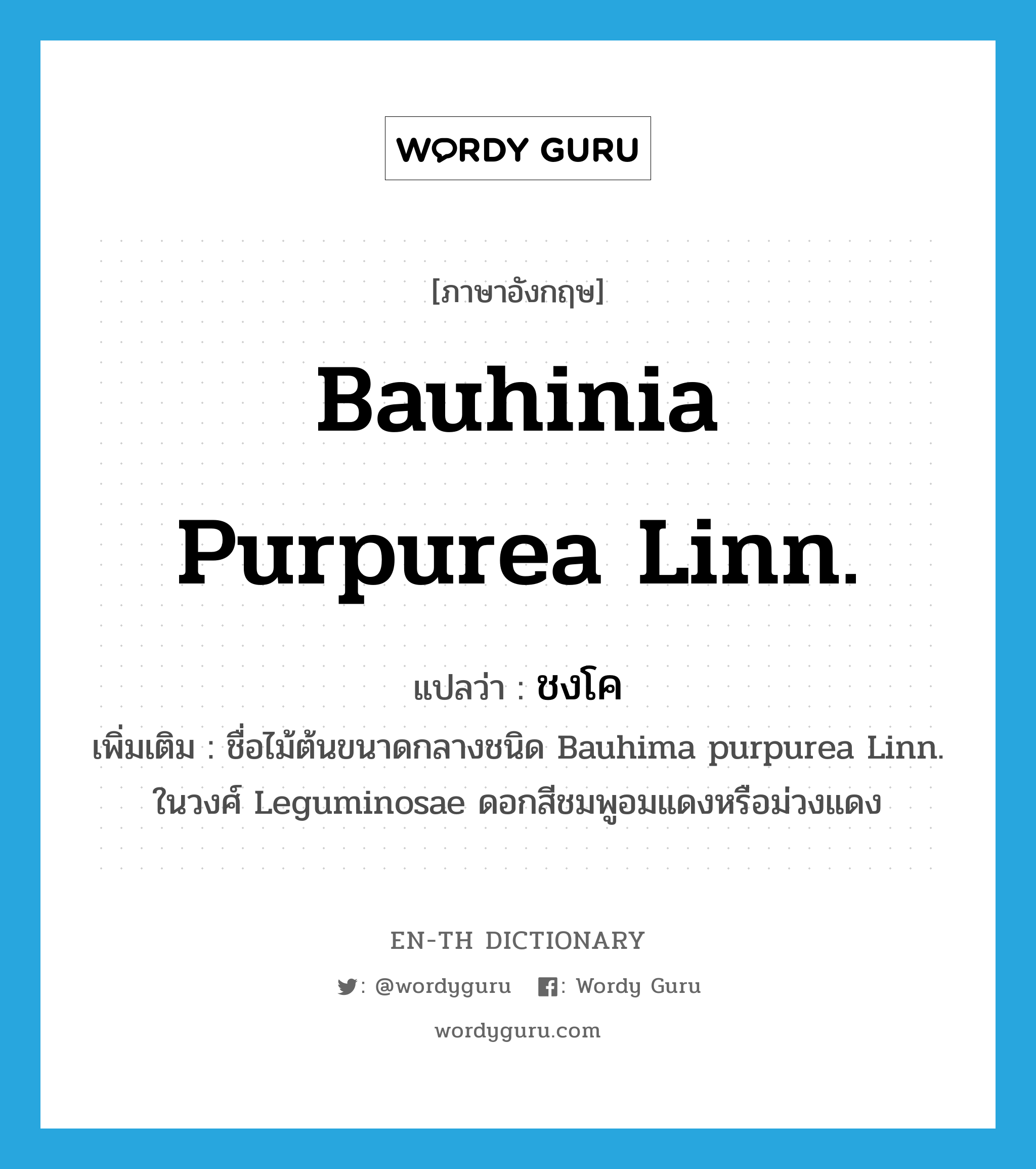 Bauhinia purpurea Linn. แปลว่า?, คำศัพท์ภาษาอังกฤษ Bauhinia purpurea Linn. แปลว่า ชงโค ประเภท N เพิ่มเติม ชื่อไม้ต้นขนาดกลางชนิด Bauhima purpurea Linn. ในวงศ์ Leguminosae ดอกสีชมพูอมแดงหรือม่วงแดง หมวด N