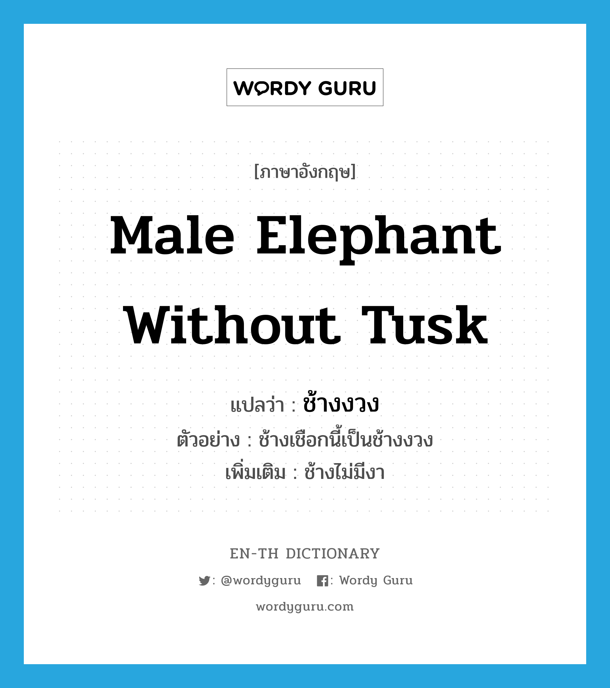 male elephant without tusk แปลว่า?, คำศัพท์ภาษาอังกฤษ male elephant without tusk แปลว่า ช้างงวง ประเภท N ตัวอย่าง ช้างเชือกนี้เป็นช้างงวง เพิ่มเติม ช้างไม่มีงา หมวด N