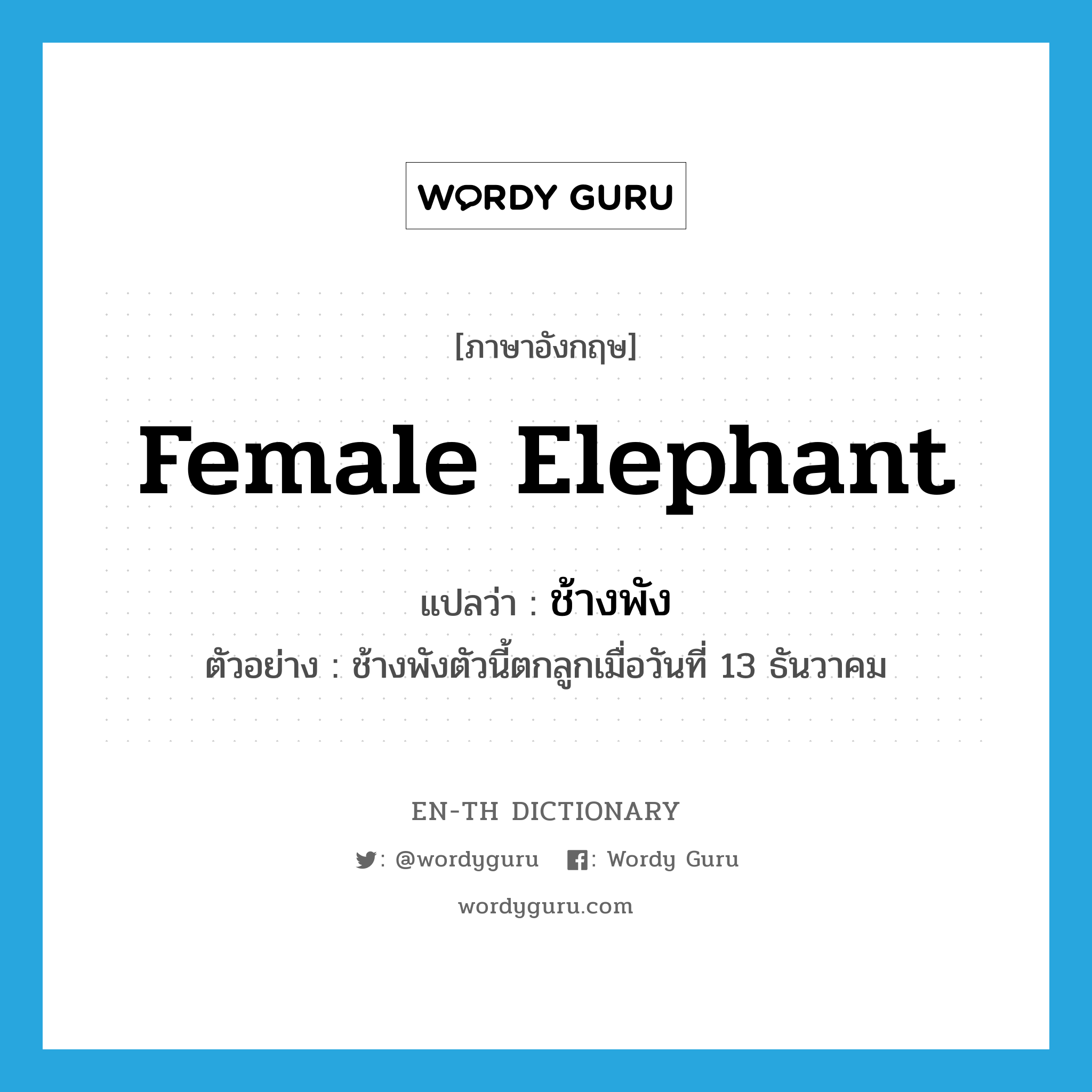 female elephant แปลว่า?, คำศัพท์ภาษาอังกฤษ female elephant แปลว่า ช้างพัง ประเภท N ตัวอย่าง ช้างพังตัวนี้ตกลูกเมื่อวันที่ 13 ธันวาคม หมวด N