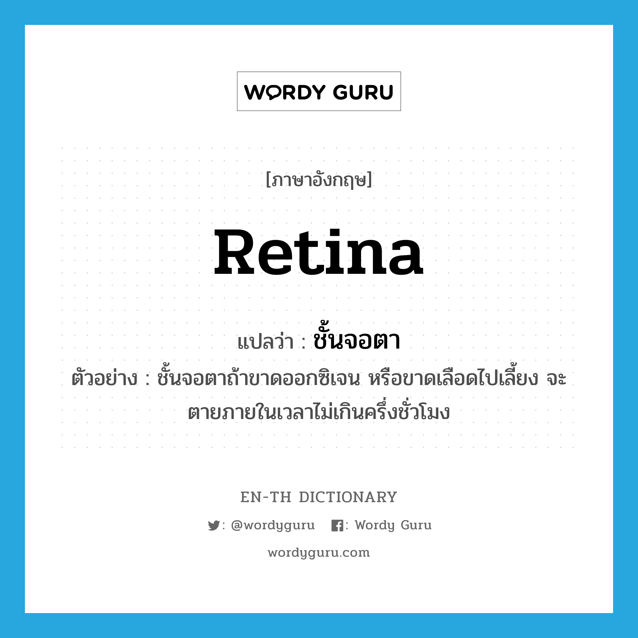 retina แปลว่า?, คำศัพท์ภาษาอังกฤษ retina แปลว่า ชั้นจอตา ประเภท N ตัวอย่าง ชั้นจอตาถ้าขาดออกซิเจน หรือขาดเลือดไปเลี้ยง จะตายภายในเวลาไม่เกินครึ่งชั่วโมง หมวด N