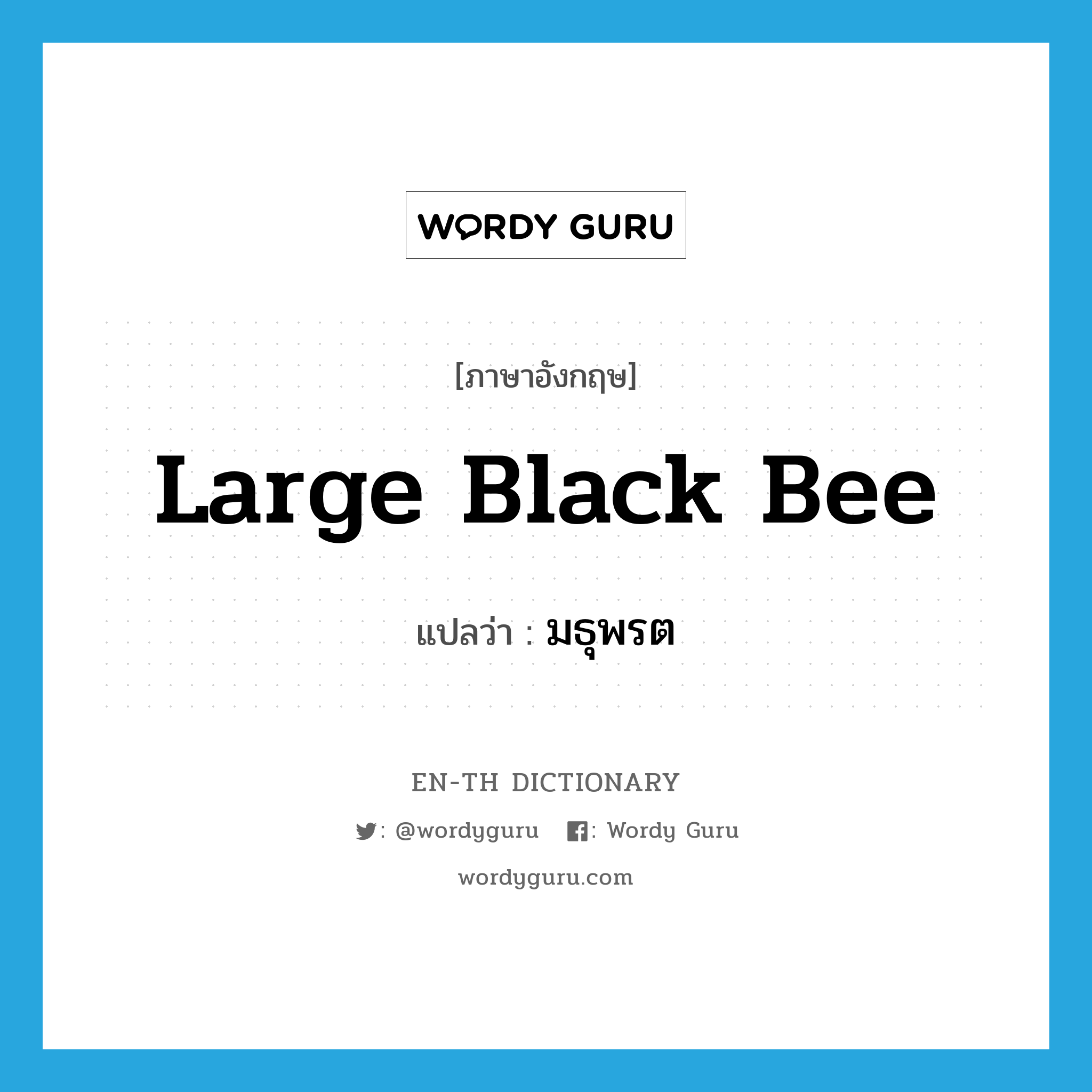 large black bee แปลว่า?, คำศัพท์ภาษาอังกฤษ large black bee แปลว่า มธุพรต ประเภท N หมวด N
