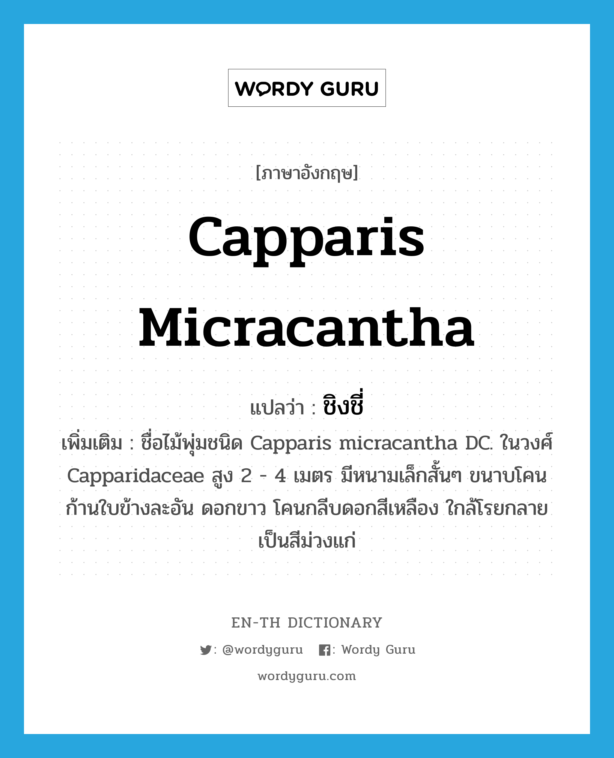 Capparis micracantha แปลว่า?, คำศัพท์ภาษาอังกฤษ Capparis micracantha แปลว่า ชิงชี่ ประเภท N เพิ่มเติม ชื่อไม้พุ่มชนิด Capparis micracantha DC. ในวงศ์ Capparidaceae สูง 2 - 4 เมตร มีหนามเล็กสั้นๆ ขนาบโคนก้านใบข้างละอัน ดอกขาว โคนกลีบดอกสีเหลือง ใกล้โรยกลายเป็นสีม่วงแก่ หมวด N