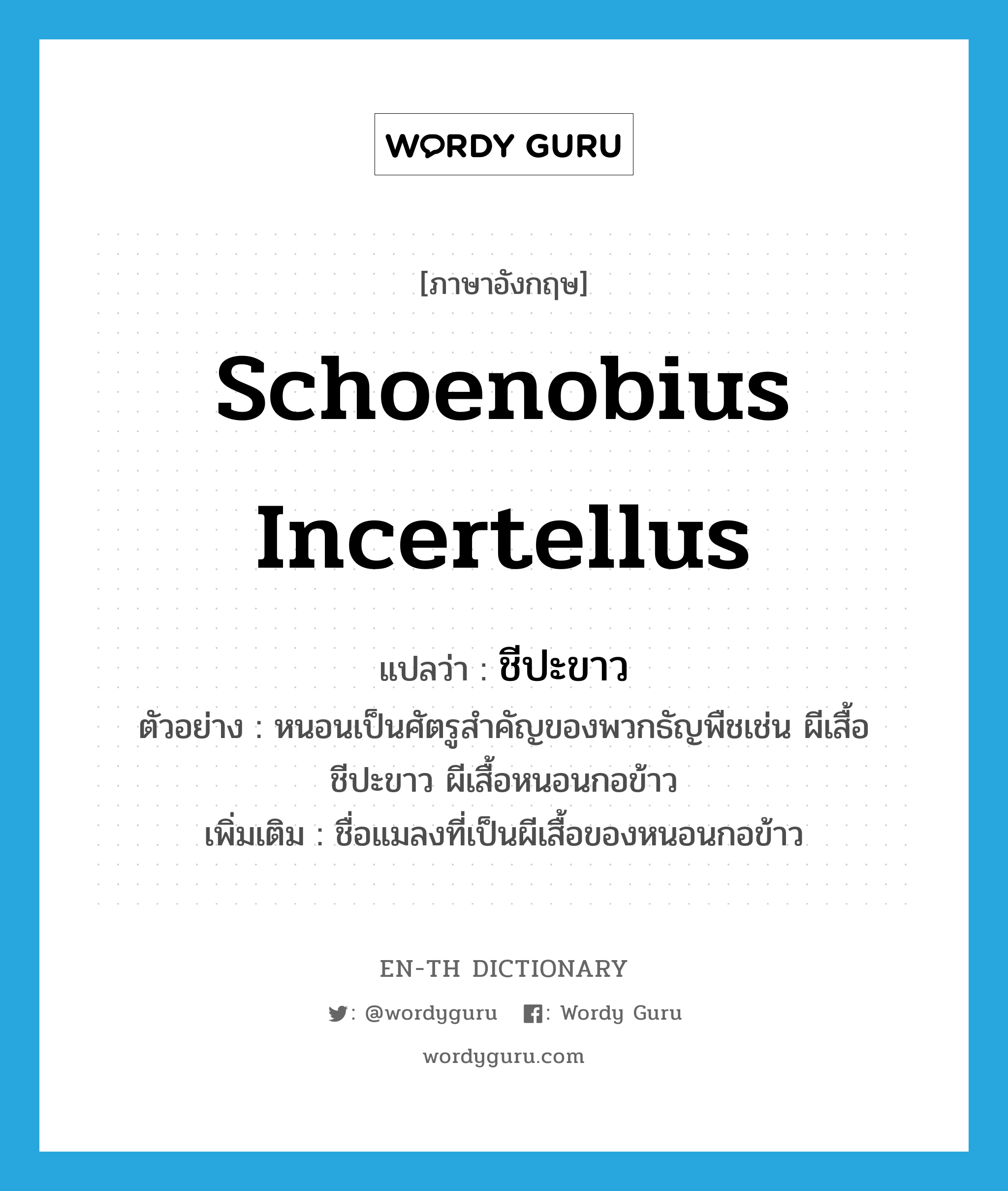 Schoenobius incertellus แปลว่า?, คำศัพท์ภาษาอังกฤษ Schoenobius incertellus แปลว่า ชีปะขาว ประเภท N ตัวอย่าง หนอนเป็นศัตรูสำคัญของพวกธัญพืชเช่น ผีเสื้อชีปะขาว ผีเสื้อหนอนกอข้าว เพิ่มเติม ชื่อแมลงที่เป็นผีเสื้อของหนอนกอข้าว หมวด N