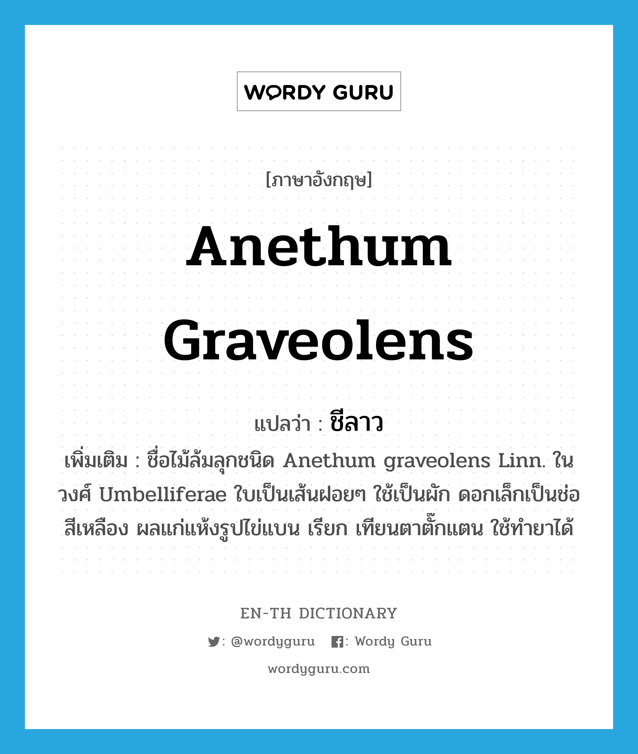 Anethum graveolens แปลว่า?, คำศัพท์ภาษาอังกฤษ Anethum graveolens แปลว่า ชีลาว ประเภท N เพิ่มเติม ชื่อไม้ล้มลุกชนิด Anethum graveolens Linn. ในวงศ์ Umbelliferae ใบเป็นเส้นฝอยๆ ใช้เป็นผัก ดอกเล็กเป็นช่อสีเหลือง ผลแก่แห้งรูปไข่แบน เรียก เทียนตาตั๊กแตน ใช้ทำยาได้ หมวด N