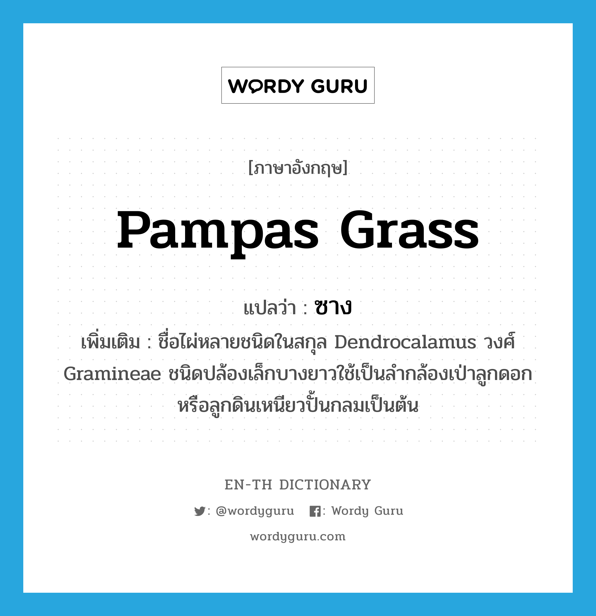 pampas grass แปลว่า?, คำศัพท์ภาษาอังกฤษ pampas grass แปลว่า ซาง ประเภท N เพิ่มเติม ชื่อไผ่หลายชนิดในสกุล Dendrocalamus วงศ์ Gramineae ชนิดปล้องเล็กบางยาวใช้เป็นลำกล้องเป่าลูกดอก หรือลูกดินเหนียวปั้นกลมเป็นต้น หมวด N
