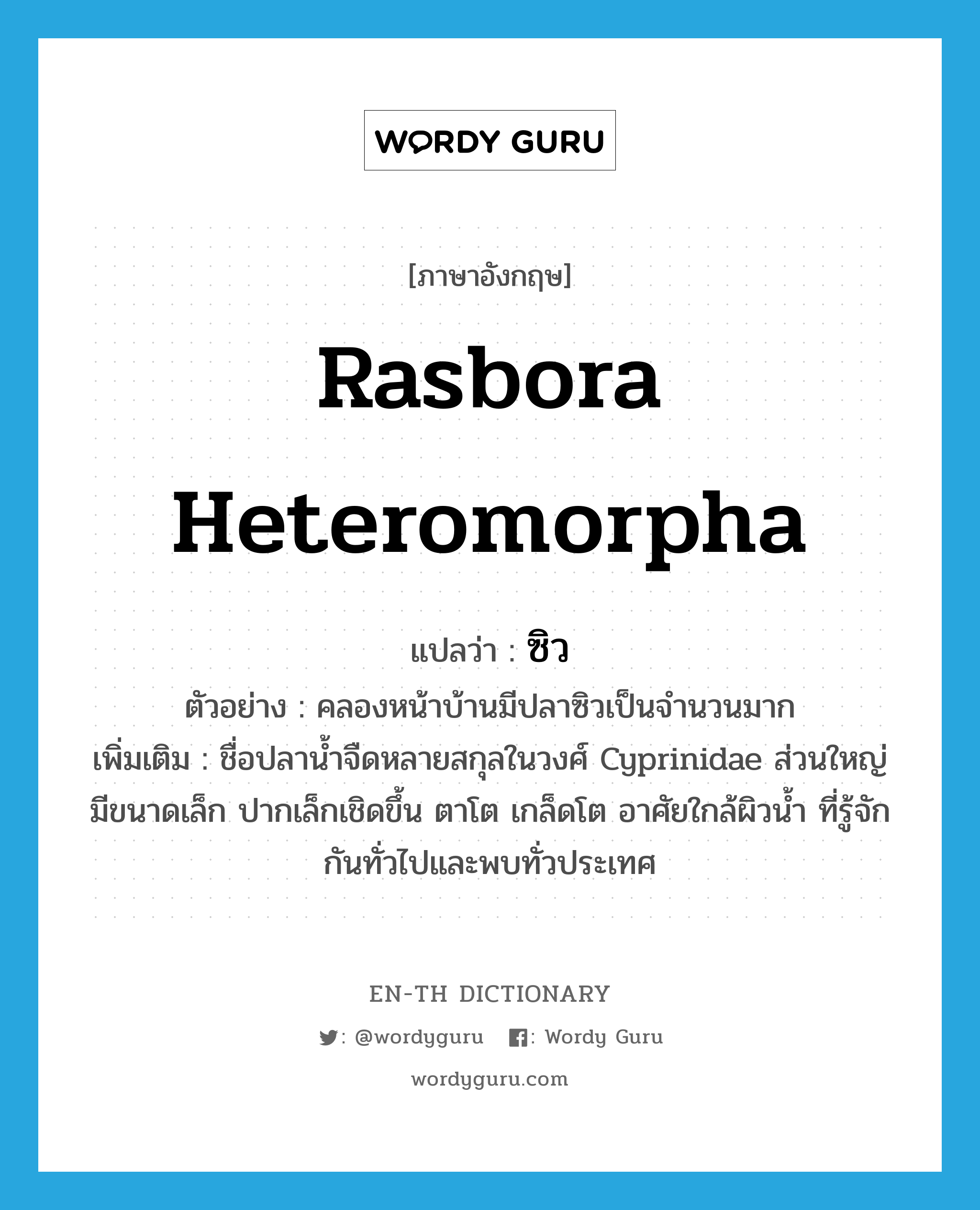 Rasbora Heteromorpha แปลว่า?, คำศัพท์ภาษาอังกฤษ Rasbora Heteromorpha แปลว่า ซิว ประเภท N ตัวอย่าง คลองหน้าบ้านมีปลาซิวเป็นจำนวนมาก เพิ่มเติม ชื่อปลาน้ำจืดหลายสกุลในวงศ์ Cyprinidae ส่วนใหญ่มีขนาดเล็ก ปากเล็กเชิดขึ้น ตาโต เกล็ดโต อาศัยใกล้ผิวน้ำ ที่รู้จักกันทั่วไปและพบทั่วประเทศ หมวด N