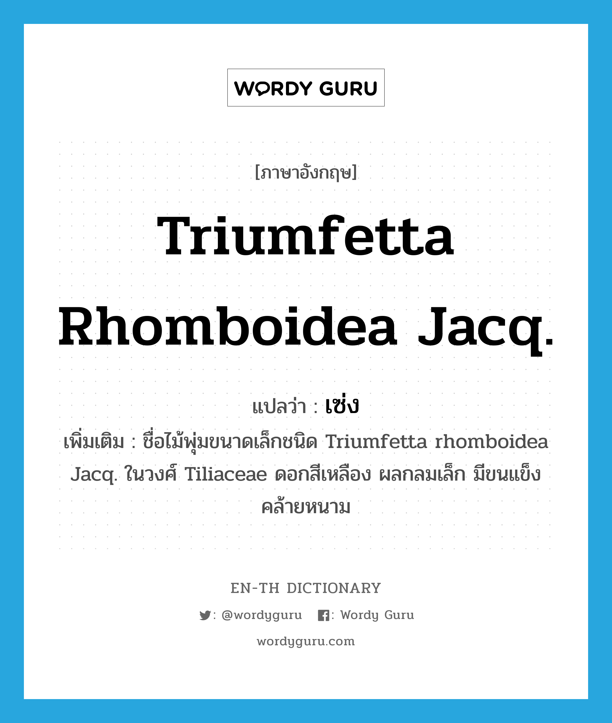 Triumfetta rhomboidea Jacq. แปลว่า?, คำศัพท์ภาษาอังกฤษ Triumfetta rhomboidea Jacq. แปลว่า เซ่ง ประเภท N เพิ่มเติม ชื่อไม้พุ่มขนาดเล็กชนิด Triumfetta rhomboidea Jacq. ในวงศ์ Tiliaceae ดอกสีเหลือง ผลกลมเล็ก มีขนแข็งคล้ายหนาม หมวด N