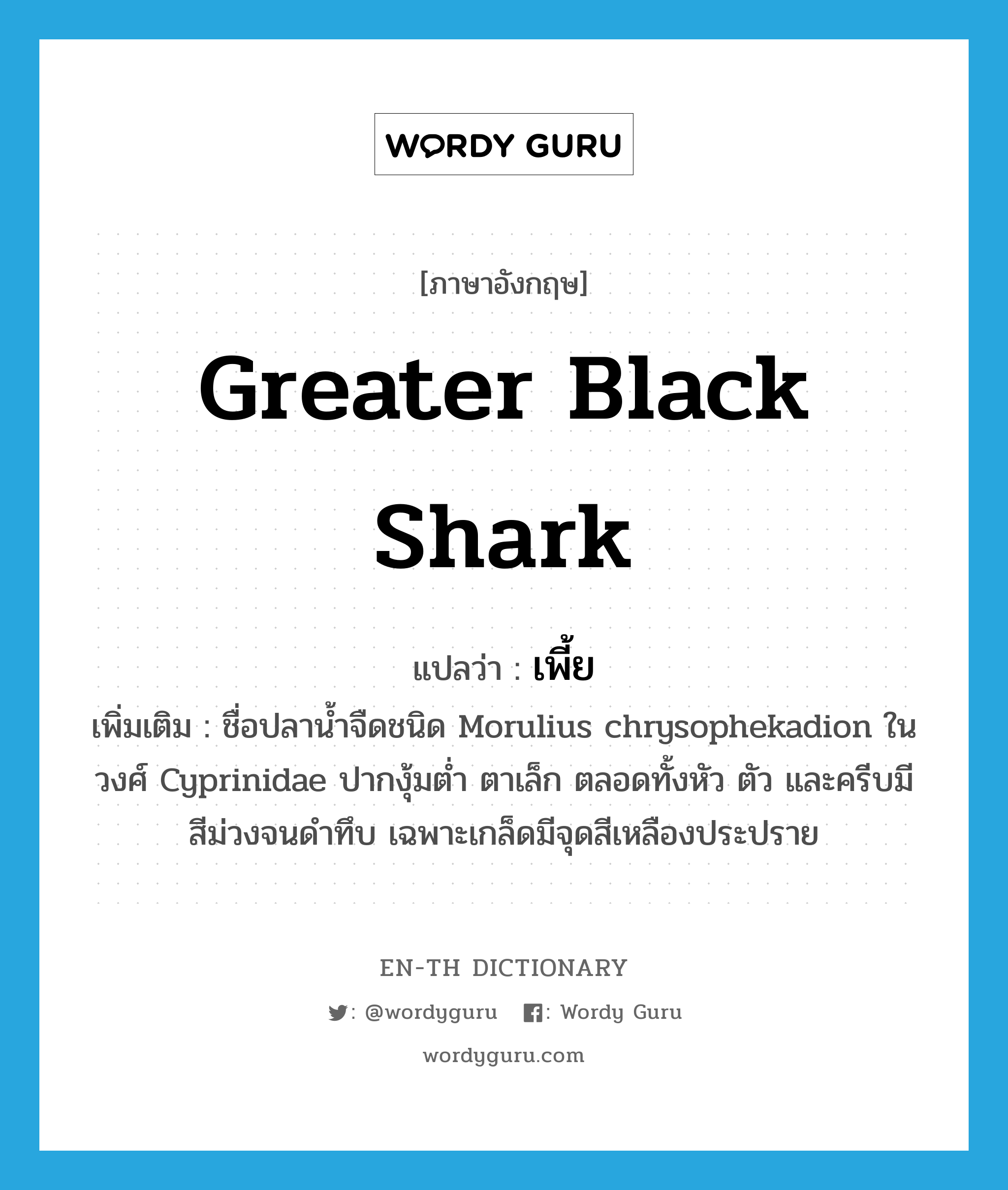 Greater black shark แปลว่า?, คำศัพท์ภาษาอังกฤษ Greater black shark แปลว่า เพี้ย ประเภท N เพิ่มเติม ชื่อปลาน้ำจืดชนิด Morulius chrysophekadion ในวงศ์ Cyprinidae ปากงุ้มต่ำ ตาเล็ก ตลอดทั้งหัว ตัว และครีบมีสีม่วงจนดำทึบ เฉพาะเกล็ดมีจุดสีเหลืองประปราย หมวด N