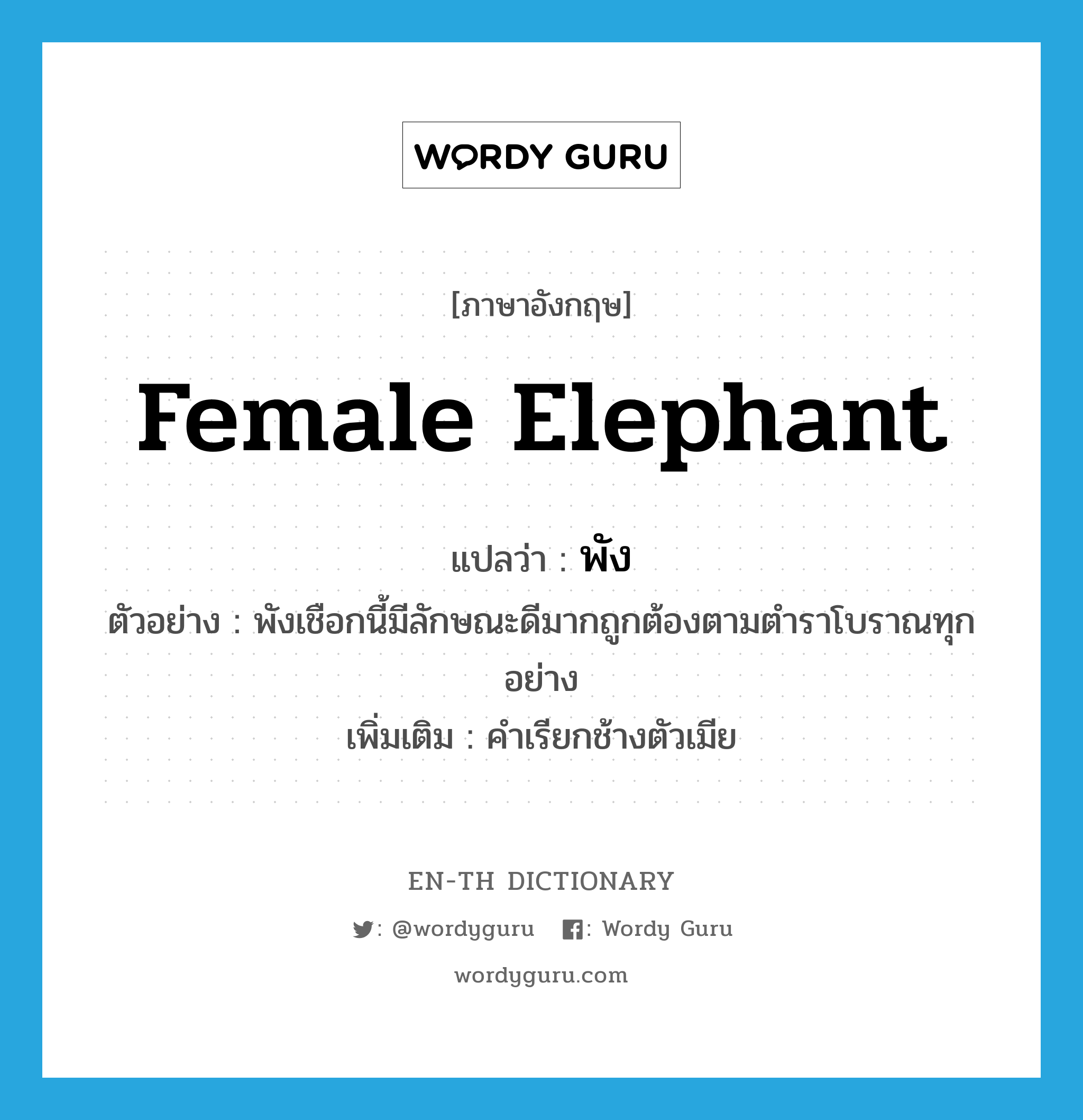 female elephant แปลว่า?, คำศัพท์ภาษาอังกฤษ female elephant แปลว่า พัง ประเภท N ตัวอย่าง พังเชือกนี้มีลักษณะดีมากถูกต้องตามตำราโบราณทุกอย่าง เพิ่มเติม คำเรียกช้างตัวเมีย หมวด N