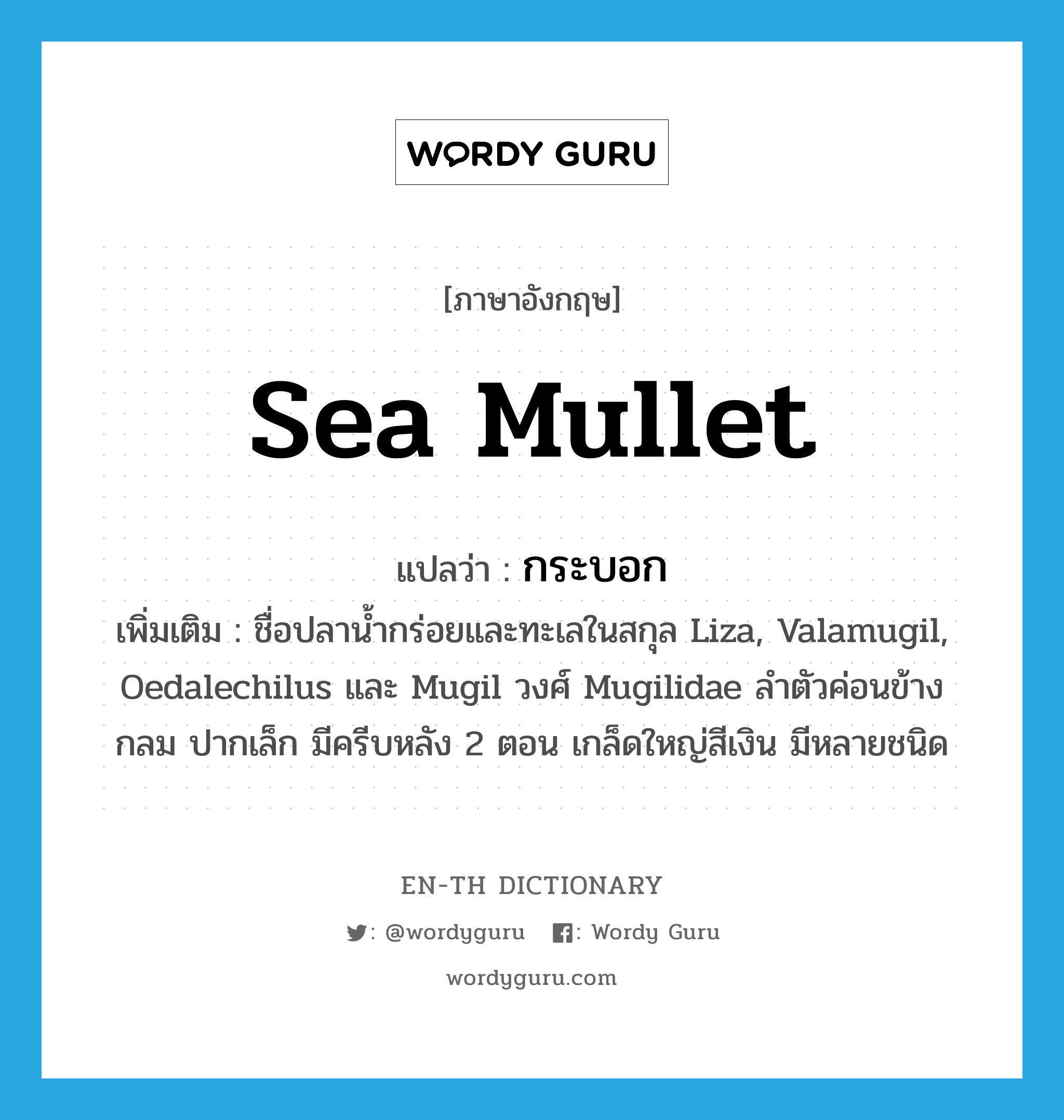 sea mullet แปลว่า?, คำศัพท์ภาษาอังกฤษ sea mullet แปลว่า กระบอก ประเภท N เพิ่มเติม ชื่อปลาน้ำกร่อยและทะเลในสกุล Liza, Valamugil, Oedalechilus และ Mugil วงศ์ Mugilidae ลำตัวค่อนข้างกลม ปากเล็ก มีครีบหลัง 2 ตอน เกล็ดใหญ่สีเงิน มีหลายชนิด หมวด N