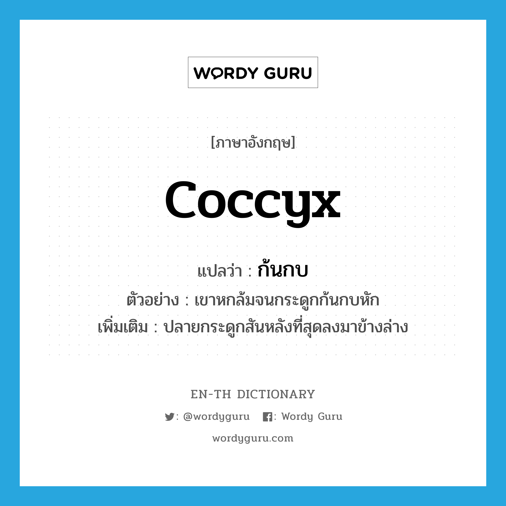 coccyx แปลว่า?, คำศัพท์ภาษาอังกฤษ coccyx แปลว่า ก้นกบ ประเภท N ตัวอย่าง เขาหกล้มจนกระดูกก้นกบหัก เพิ่มเติม ปลายกระดูกสันหลังที่สุดลงมาข้างล่าง หมวด N