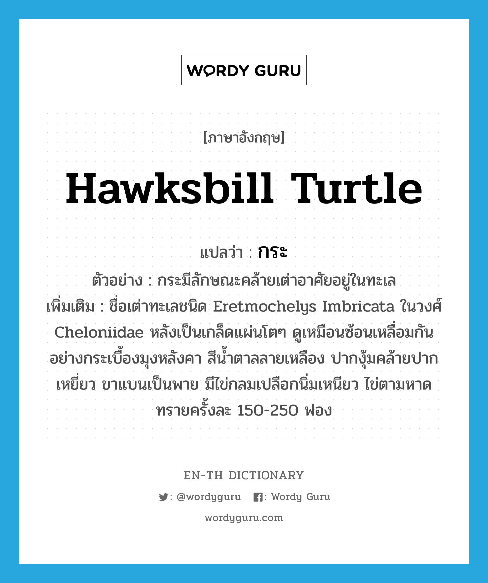 hawksbill turtle แปลว่า?, คำศัพท์ภาษาอังกฤษ hawksbill turtle แปลว่า กระ ประเภท N ตัวอย่าง กระมีลักษณะคล้ายเต่าอาศัยอยู่ในทะเล เพิ่มเติม ชื่อเต่าทะเลชนิด Eretmochelys Imbricata ในวงศ์ Cheloniidae หลังเป็นเกล็ดแผ่นโตๆ ดูเหมือนซ้อนเหลื่อมกันอย่างกระเบื้องมุงหลังคา สีน้ำตาลลายเหลือง ปากงุ้มคล้ายปากเหยี่ยว ขาแบนเป็นพาย มีไข่กลมเปลือกนิ่มเหนียว ไข่ตามหาดทรายครั้งละ 150-250 ฟอง หมวด N
