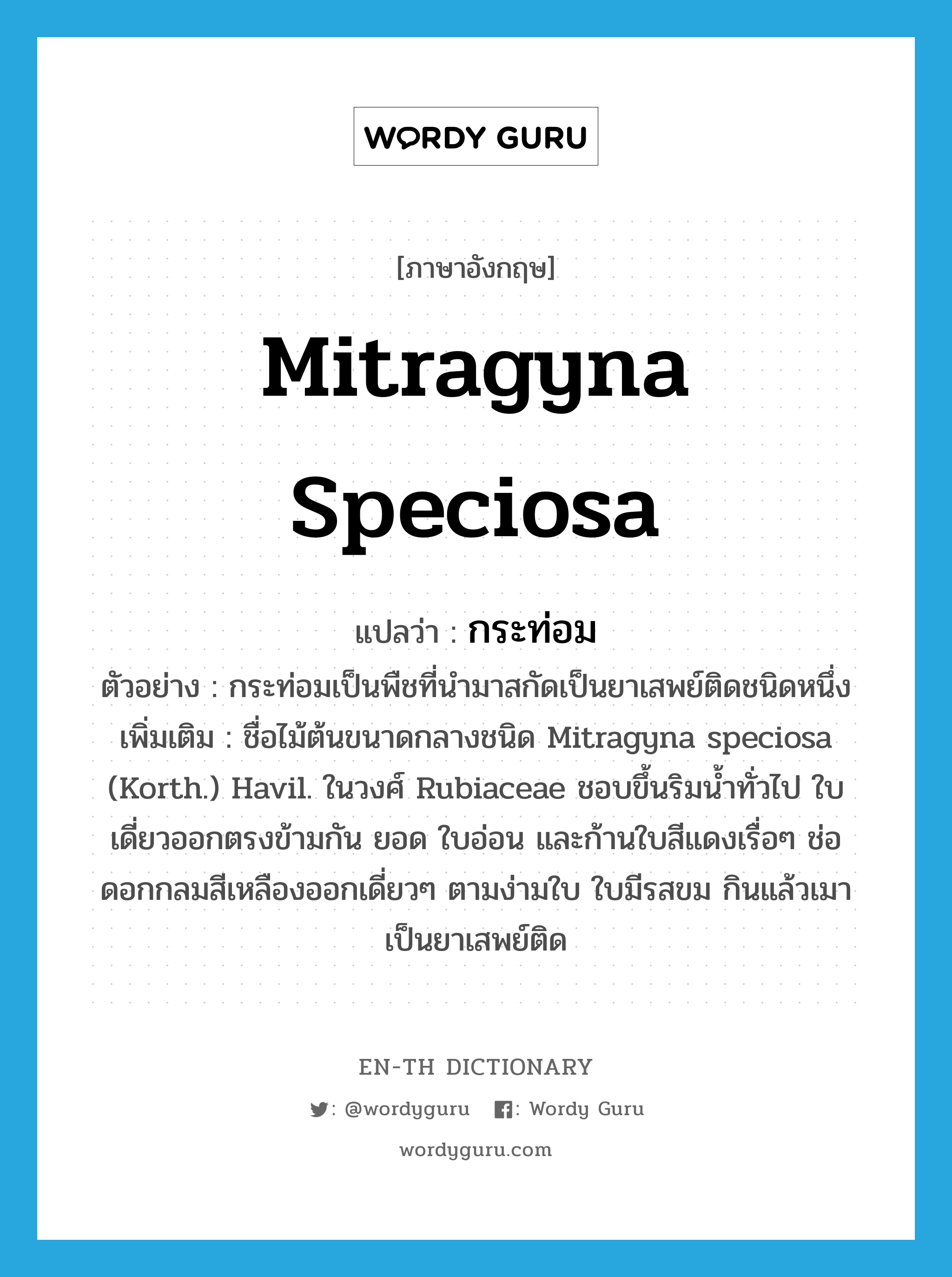 Mitragyna speciosa แปลว่า?, คำศัพท์ภาษาอังกฤษ Mitragyna speciosa แปลว่า กระท่อม ประเภท N ตัวอย่าง กระท่อมเป็นพืชที่นำมาสกัดเป็นยาเสพย์ติดชนิดหนึ่ง เพิ่มเติม ชื่อไม้ต้นขนาดกลางชนิด Mitragyna speciosa (Korth.) Havil. ในวงศ์ Rubiaceae ชอบขึ้นริมน้ำทั่วไป ใบเดี่ยวออกตรงข้ามกัน ยอด ใบอ่อน และก้านใบสีแดงเรื่อๆ ช่อดอกกลมสีเหลืองออกเดี่ยวๆ ตามง่ามใบ ใบมีรสขม กินแล้วเมา เป็นยาเสพย์ติด หมวด N