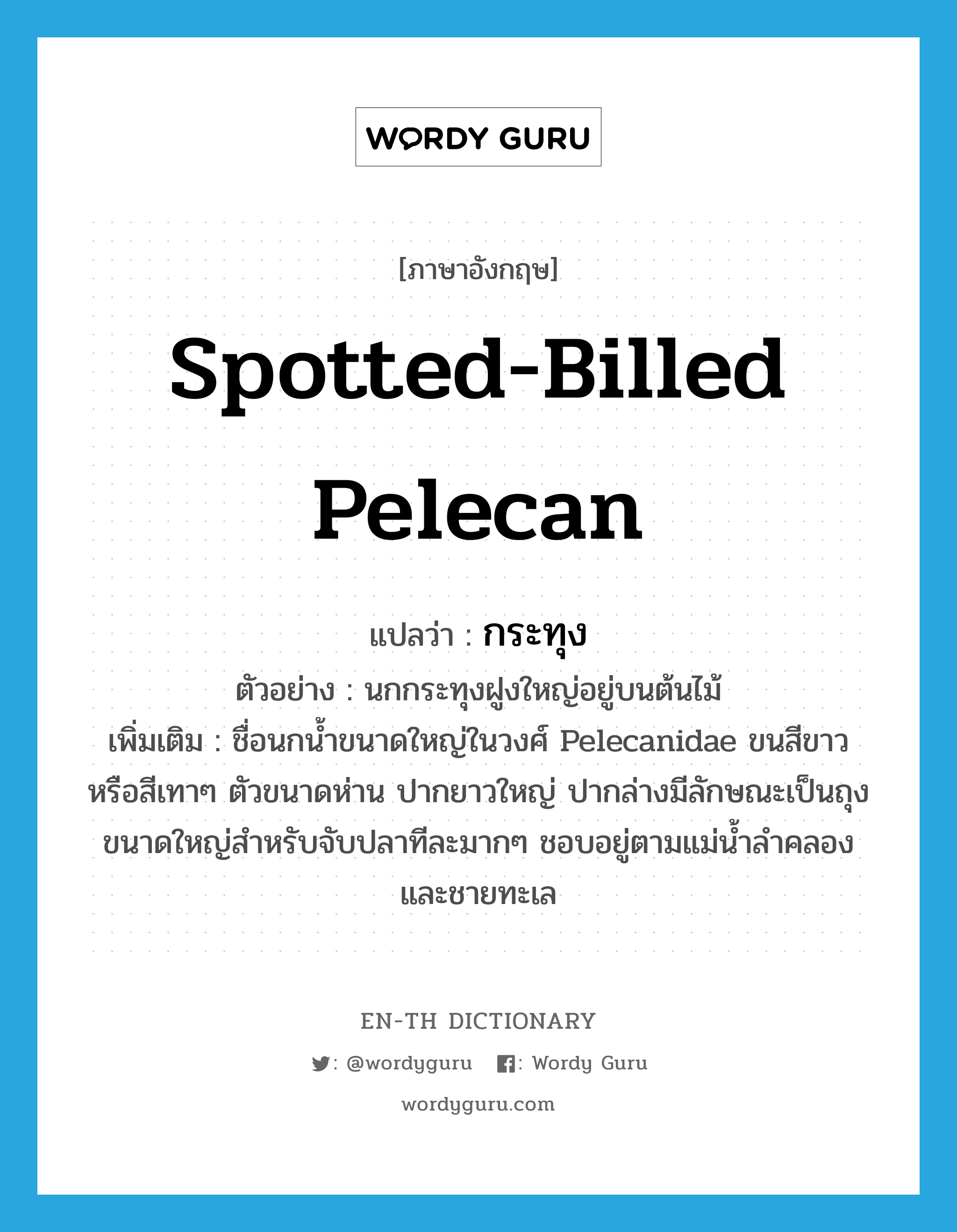 Spotted-billed Pelecan แปลว่า?, คำศัพท์ภาษาอังกฤษ Spotted-billed Pelecan แปลว่า กระทุง ประเภท N ตัวอย่าง นกกระทุงฝูงใหญ่อยู่บนต้นไม้ เพิ่มเติม ชื่อนกน้ำขนาดใหญ่ในวงศ์ Pelecanidae ขนสีขาวหรือสีเทาๆ ตัวขนาดห่าน ปากยาวใหญ่ ปากล่างมีลักษณะเป็นถุงขนาดใหญ่สำหรับจับปลาทีละมากๆ ชอบอยู่ตามแม่น้ำลำคลองและชายทะเล หมวด N