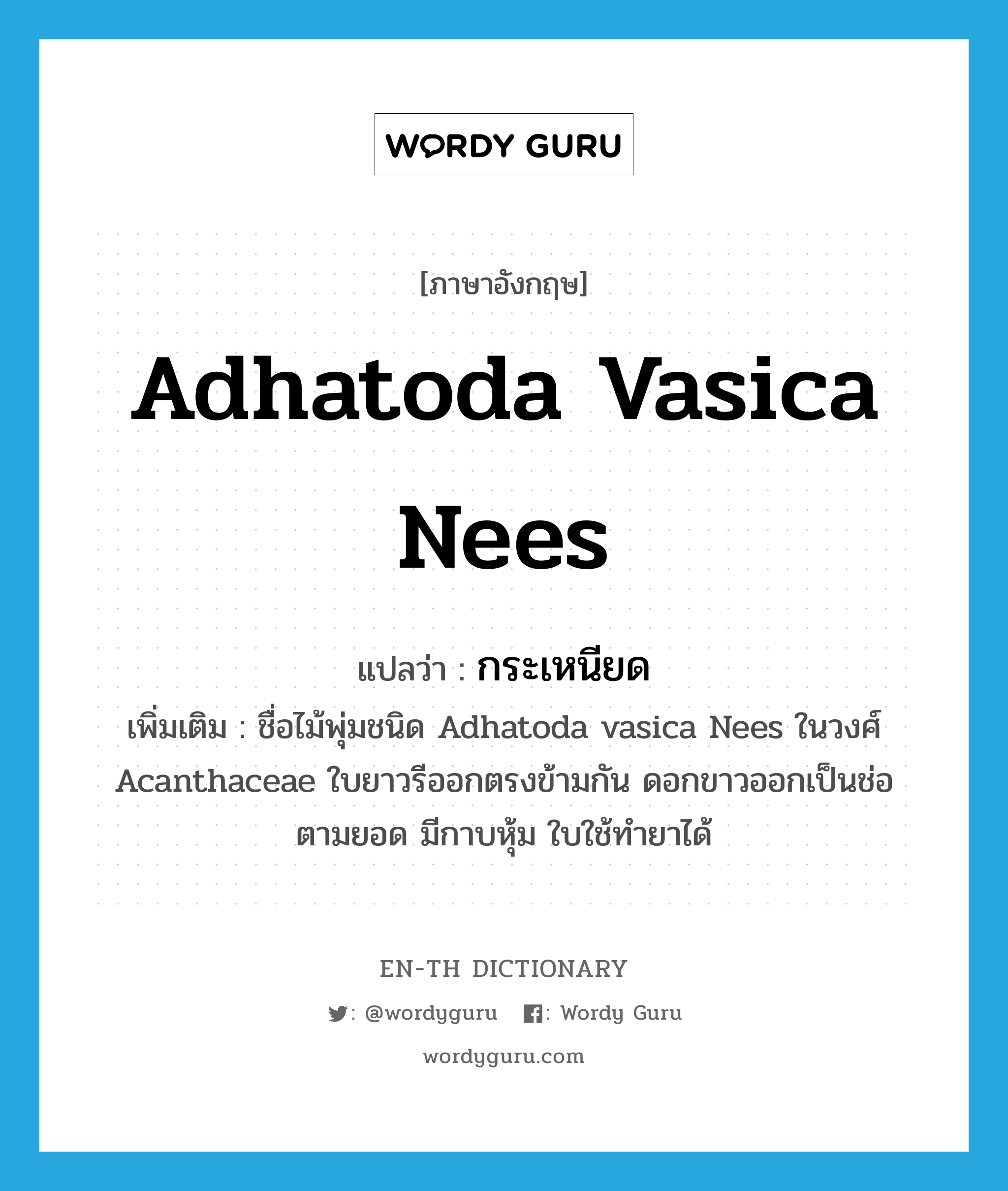 กระเหนียด ภาษาอังกฤษ?, คำศัพท์ภาษาอังกฤษ กระเหนียด แปลว่า Adhatoda vasica Nees ประเภท N เพิ่มเติม ชื่อไม้พุ่มชนิด Adhatoda vasica Nees ในวงศ์ Acanthaceae ใบยาวรีออกตรงข้ามกัน ดอกขาวออกเป็นช่อตามยอด มีกาบหุ้ม ใบใช้ทำยาได้ หมวด N