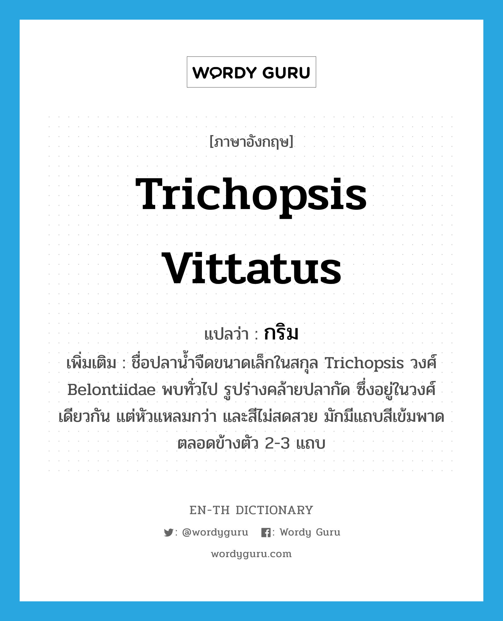 Trichopsis vittatus แปลว่า?, คำศัพท์ภาษาอังกฤษ Trichopsis vittatus แปลว่า กริม ประเภท N เพิ่มเติม ชื่อปลาน้ำจืดขนาดเล็กในสกุล Trichopsis วงศ์ Belontiidae พบทั่วไป รูปร่างคล้ายปลากัด ซึ่งอยู่ในวงศ์เดียวกัน แต่หัวแหลมกว่า และสีไม่สดสวย มักมีแถบสีเข้มพาดตลอดข้างตัว 2-3 แถบ หมวด N