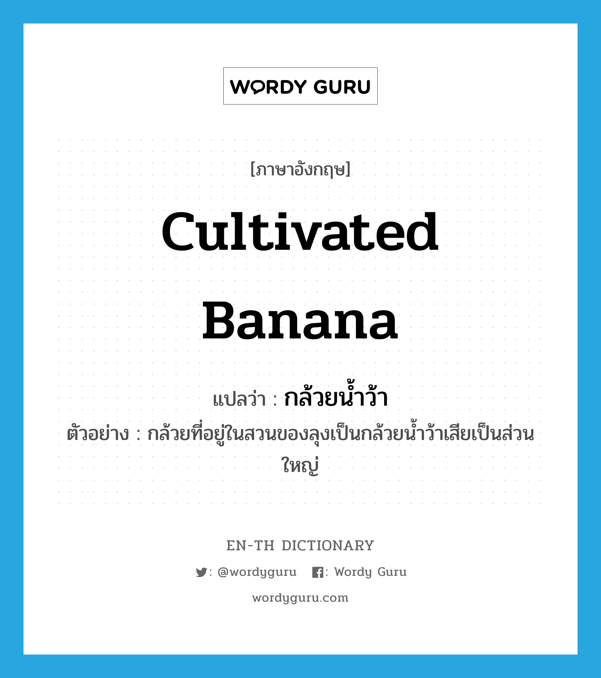 Cultivated banana แปลว่า?, คำศัพท์ภาษาอังกฤษ Cultivated banana แปลว่า กล้วยน้ำว้า ประเภท N ตัวอย่าง กล้วยที่อยู่ในสวนของลุงเป็นกล้วยน้ำว้าเสียเป็นส่วนใหญ่ หมวด N