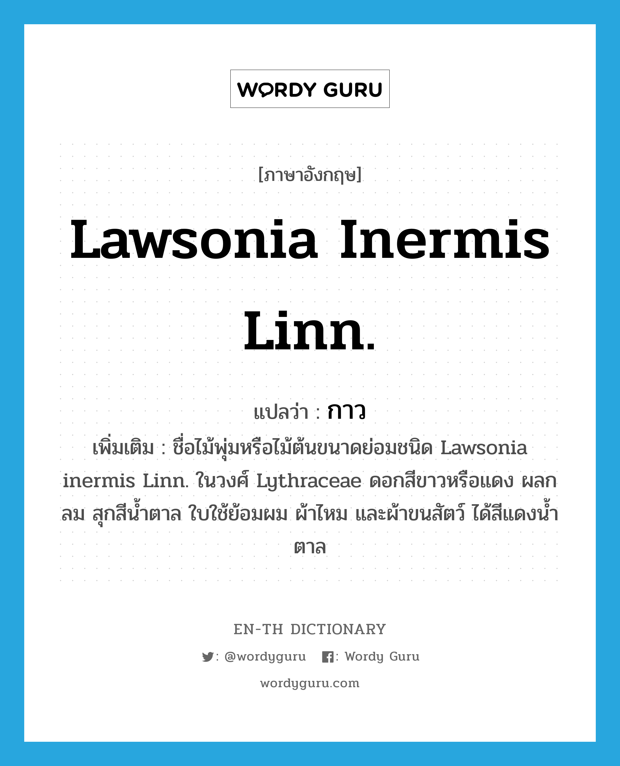 กาว ภาษาอังกฤษ?, คำศัพท์ภาษาอังกฤษ กาว แปลว่า Lawsonia inermis Linn. ประเภท N เพิ่มเติม ชื่อไม้พุ่มหรือไม้ต้นขนาดย่อมชนิด Lawsonia inermis Linn. ในวงศ์ Lythraceae ดอกสีขาวหรือแดง ผลกลม สุกสีน้ำตาล ใบใช้ย้อมผม ผ้าไหม และผ้าขนสัตว์ ได้สีแดงน้ำตาล หมวด N