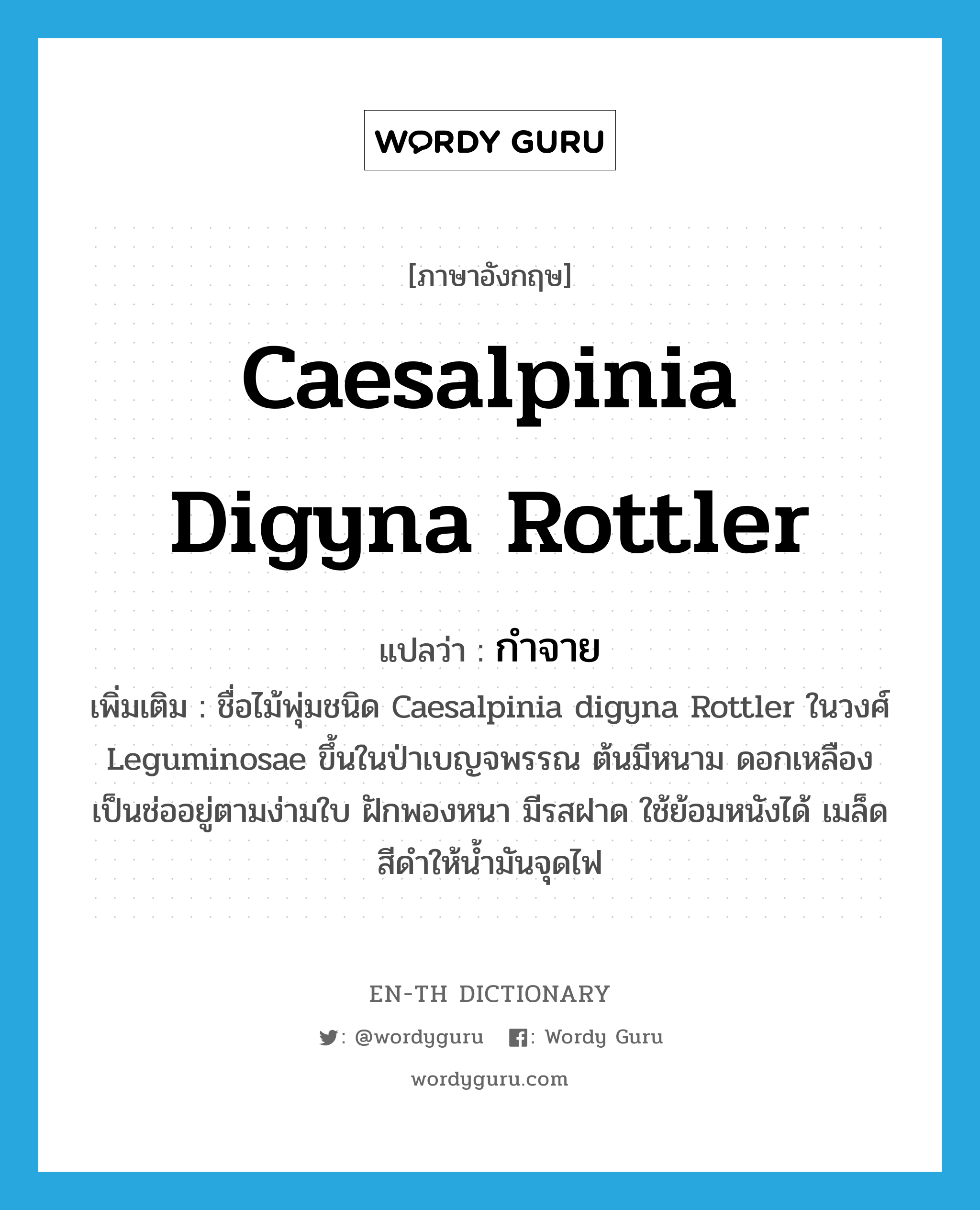 กำจาย ภาษาอังกฤษ?, คำศัพท์ภาษาอังกฤษ กำจาย แปลว่า Caesalpinia digyna Rottler ประเภท N เพิ่มเติม ชื่อไม้พุ่มชนิด Caesalpinia digyna Rottler ในวงศ์ Leguminosae ขึ้นในป่าเบญจพรรณ ต้นมีหนาม ดอกเหลืองเป็นช่ออยู่ตามง่ามใบ ฝักพองหนา มีรสฝาด ใช้ย้อมหนังได้ เมล็ดสีดำให้น้ำมันจุดไฟ หมวด N