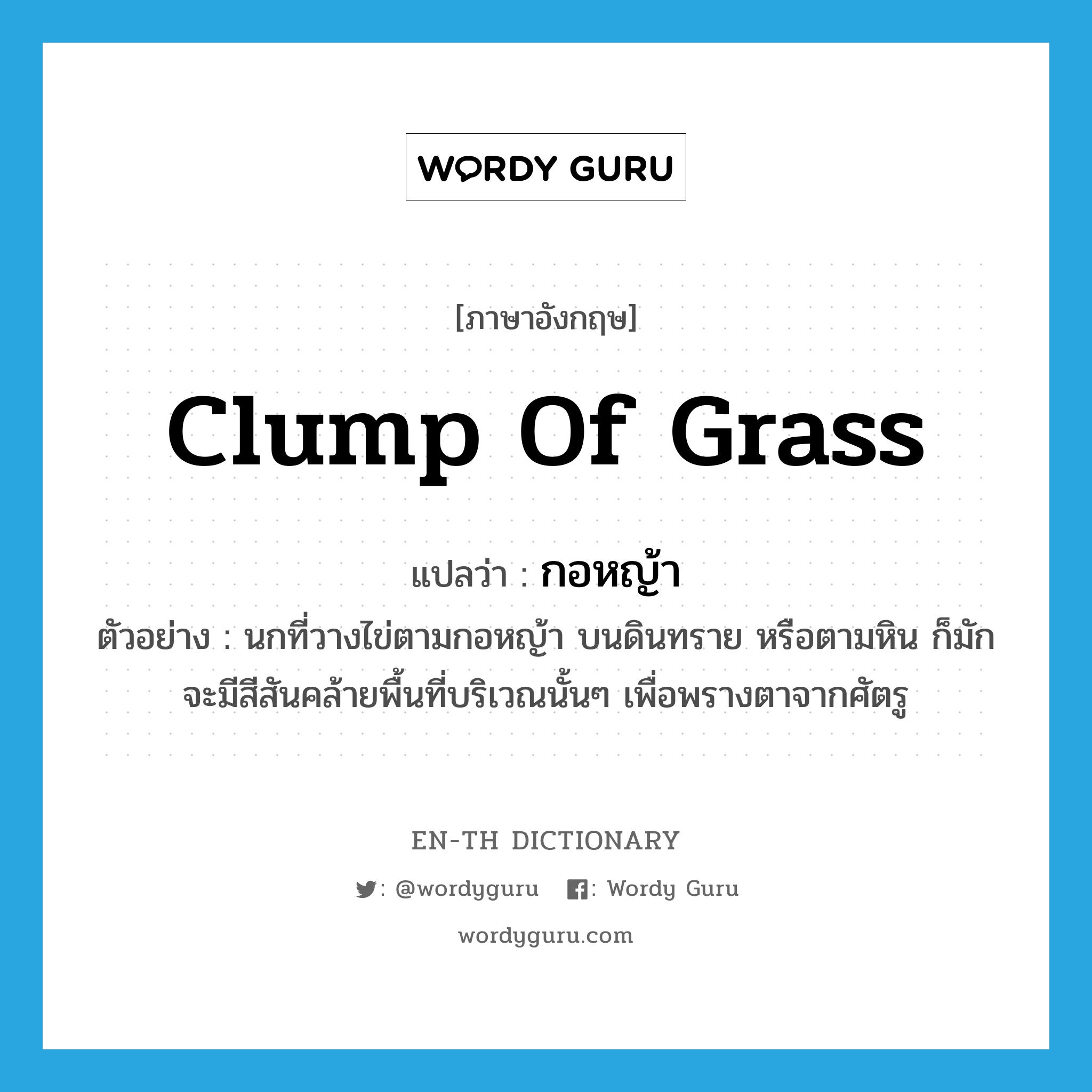 clump of grass แปลว่า?, คำศัพท์ภาษาอังกฤษ clump of grass แปลว่า กอหญ้า ประเภท N ตัวอย่าง นกที่วางไข่ตามกอหญ้า บนดินทราย หรือตามหิน ก็มักจะมีสีสันคล้ายพื้นที่บริเวณนั้นๆ เพื่อพรางตาจากศัตรู หมวด N