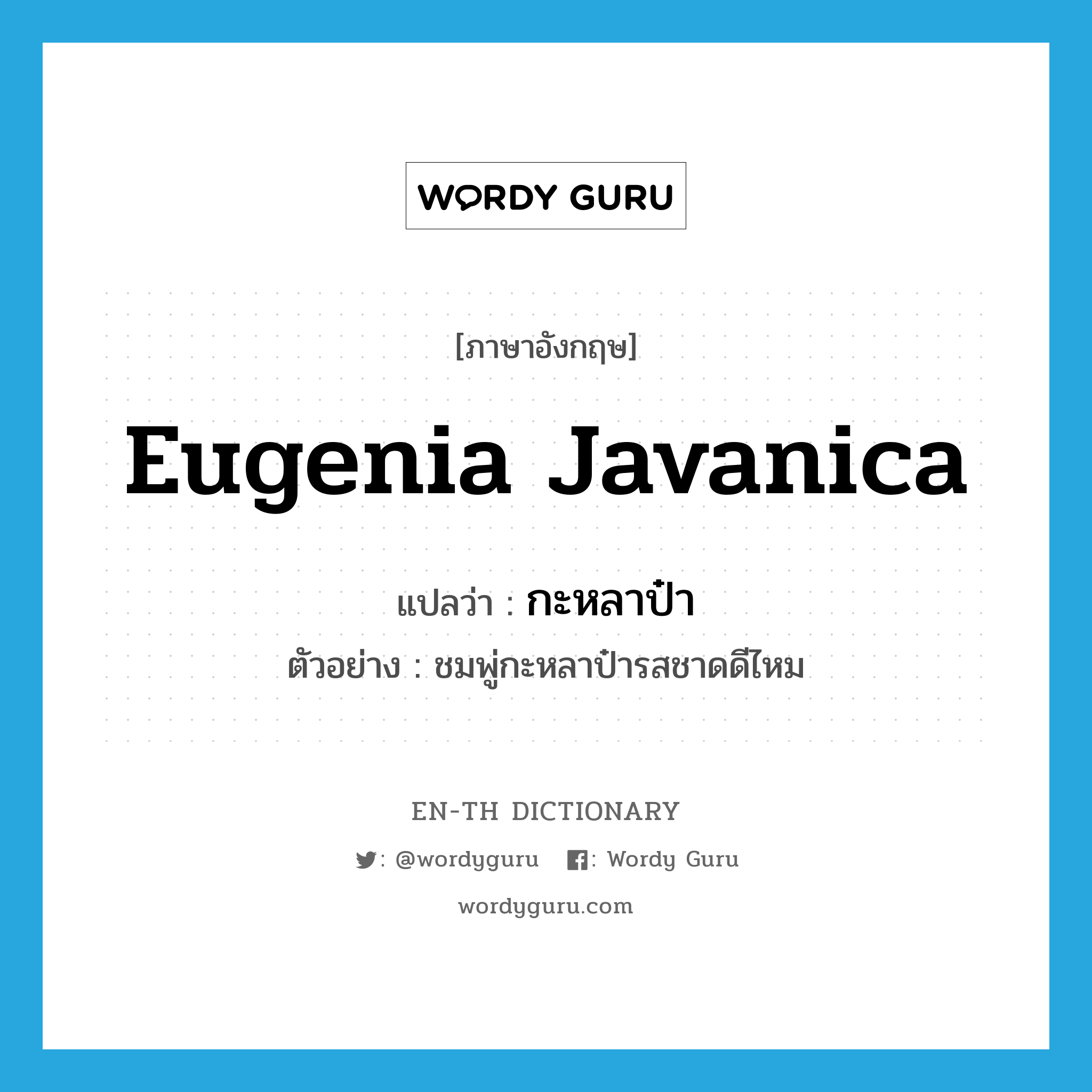 Eugenia javanica แปลว่า?, คำศัพท์ภาษาอังกฤษ Eugenia javanica แปลว่า กะหลาป๋า ประเภท N ตัวอย่าง ชมพู่กะหลาป๋ารสชาดดีไหม หมวด N
