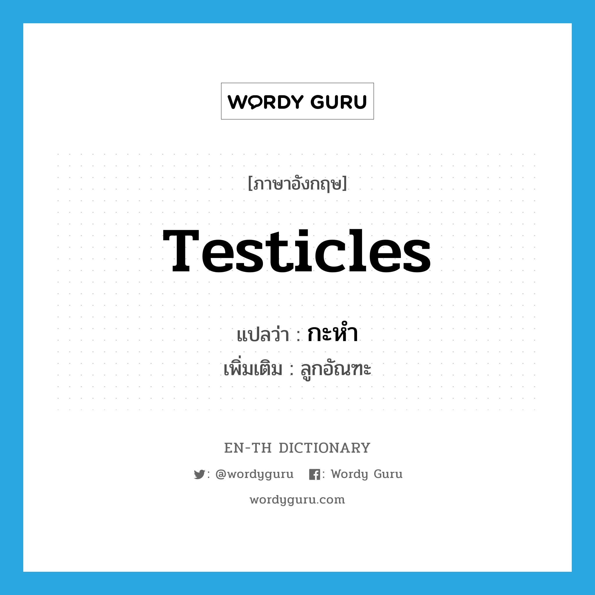 testicles แปลว่า?, คำศัพท์ภาษาอังกฤษ testicles แปลว่า กะหำ ประเภท N เพิ่มเติม ลูกอัณฑะ หมวด N