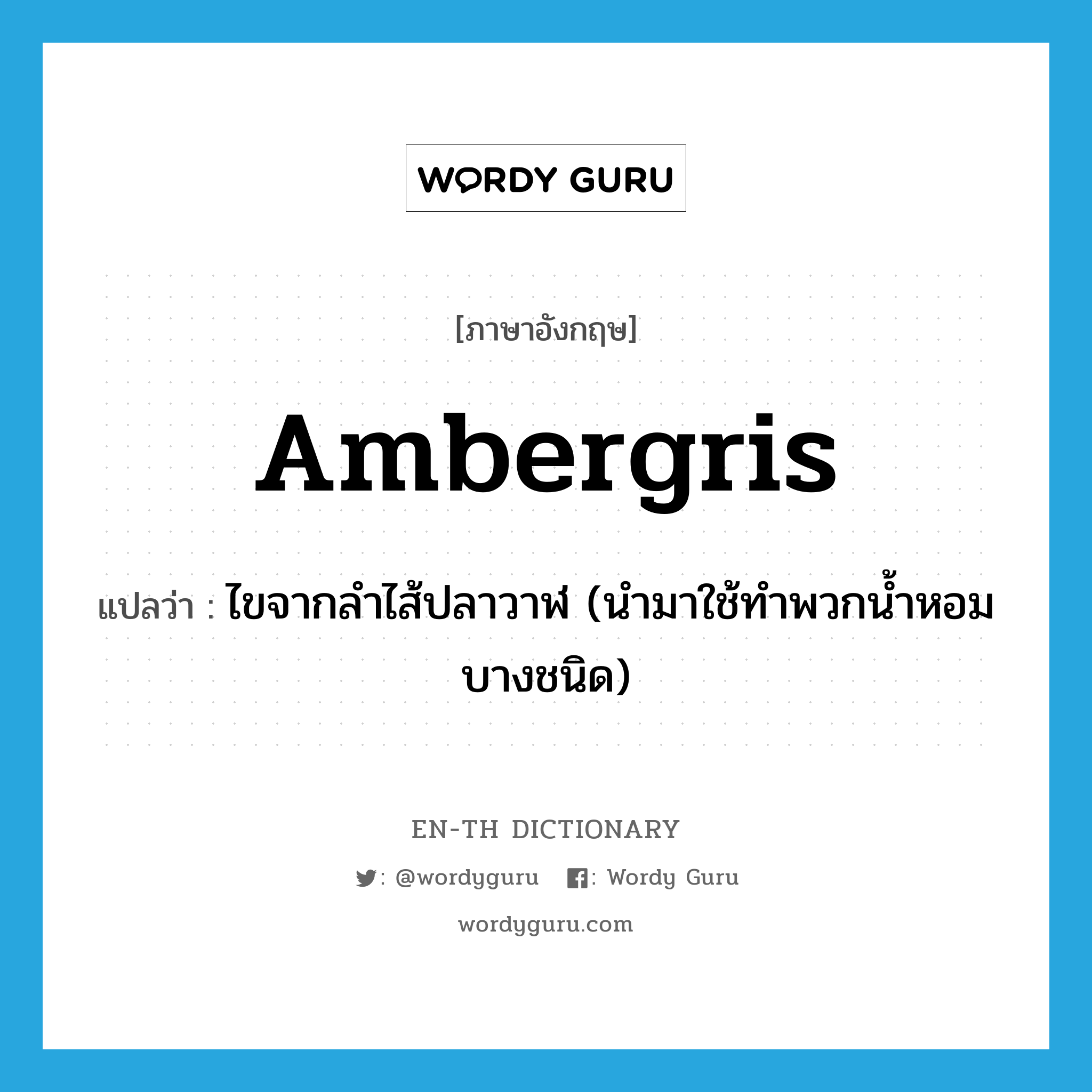 ambergris แปลว่า?, คำศัพท์ภาษาอังกฤษ ambergris แปลว่า ไขจากลำไส้ปลาวาฬ (นำมาใช้ทำพวกน้ำหอมบางชนิด) ประเภท N หมวด N