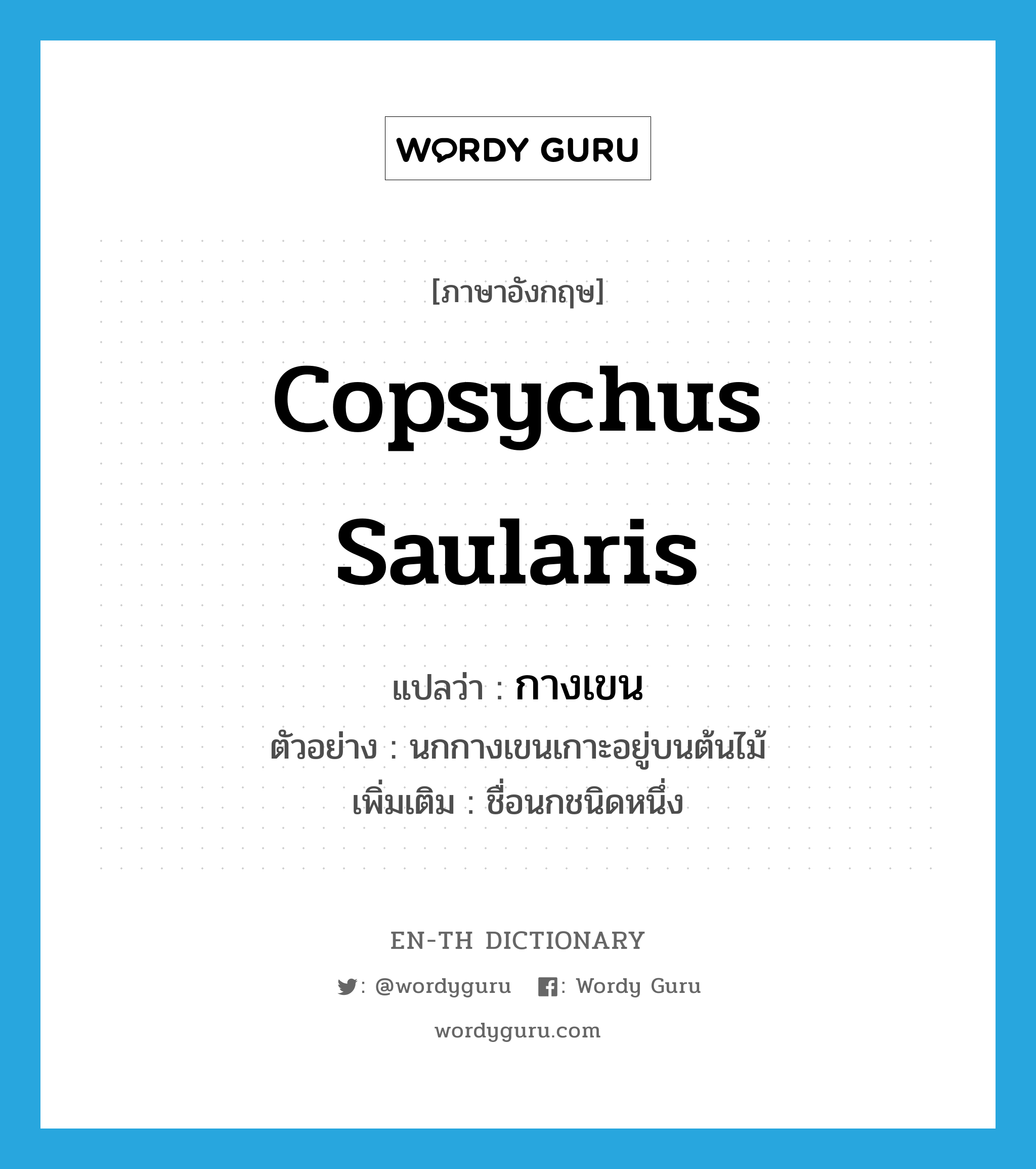 Copsychus saularis แปลว่า?, คำศัพท์ภาษาอังกฤษ Copsychus saularis แปลว่า กางเขน ประเภท N ตัวอย่าง นกกางเขนเกาะอยู่บนต้นไม้ เพิ่มเติม ชื่อนกชนิดหนึ่ง หมวด N