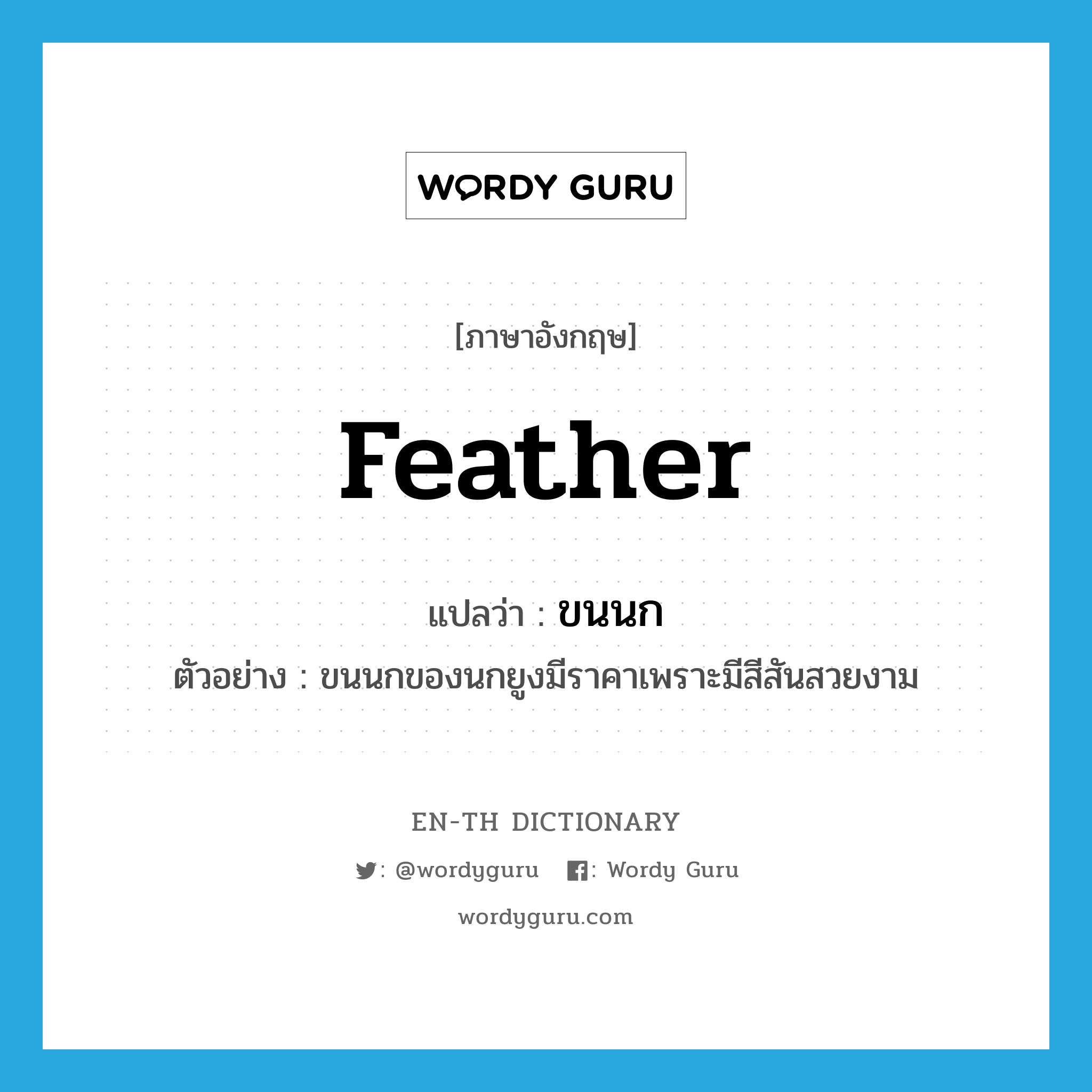 feather แปลว่า?, คำศัพท์ภาษาอังกฤษ feather แปลว่า ขนนก ประเภท N ตัวอย่าง ขนนกของนกยูงมีราคาเพราะมีสีสันสวยงาม หมวด N