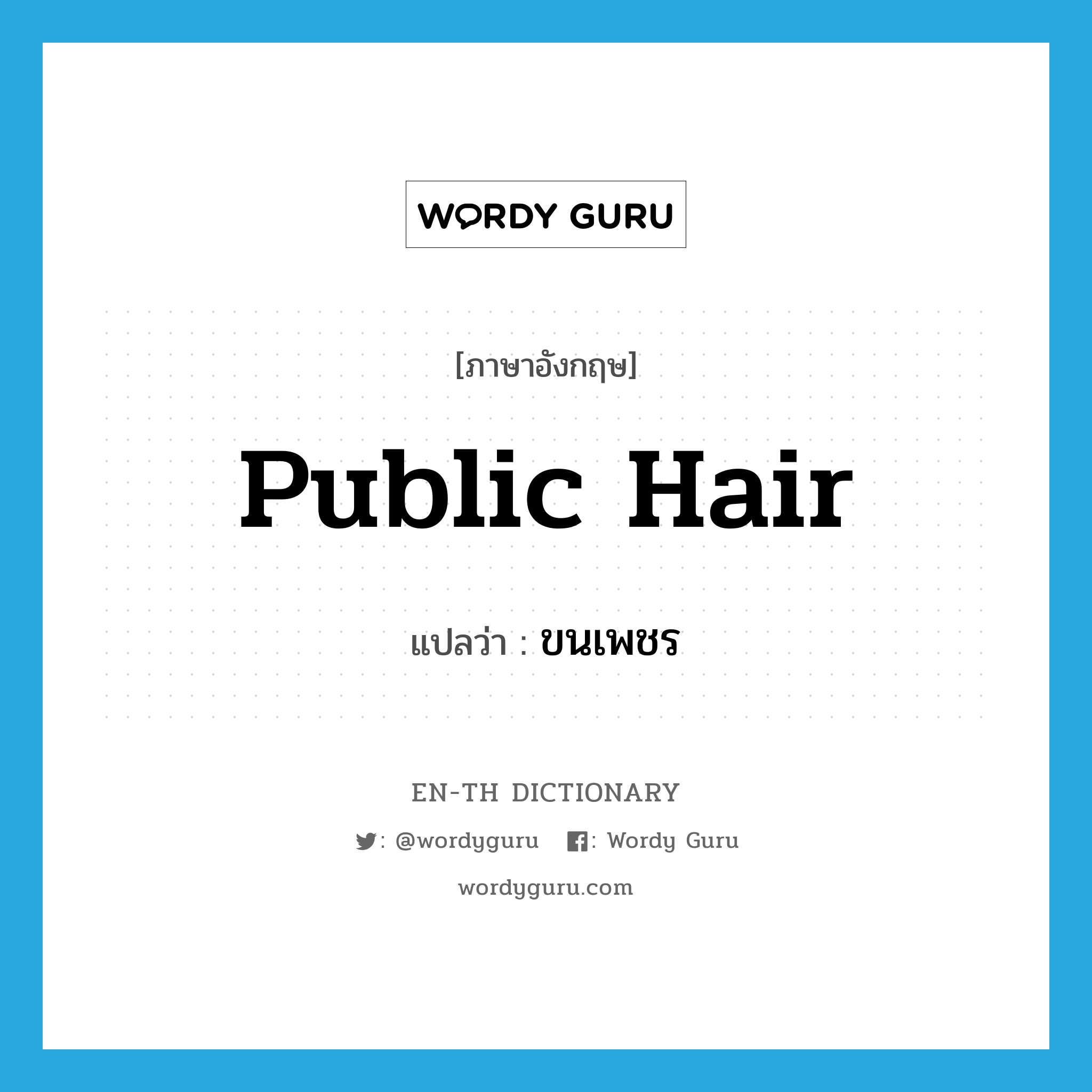 public hair แปลว่า?, คำศัพท์ภาษาอังกฤษ public hair แปลว่า ขนเพชร ประเภท N หมวด N