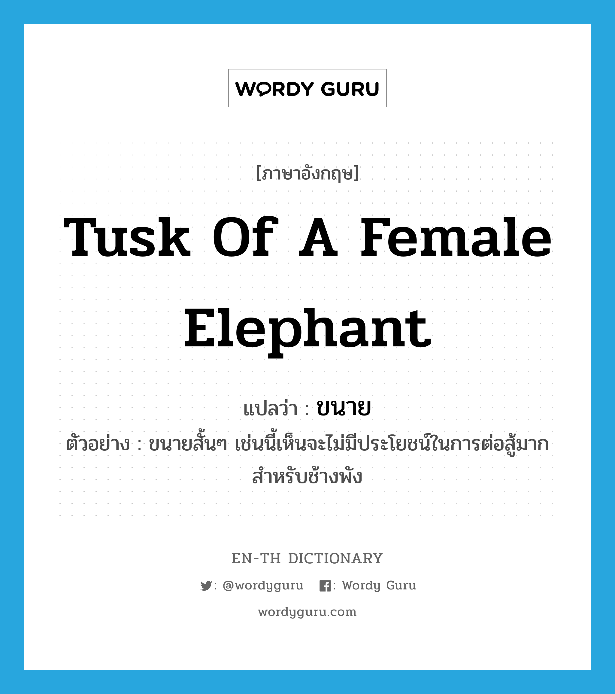 ขนาย ภาษาอังกฤษ?, คำศัพท์ภาษาอังกฤษ ขนาย แปลว่า tusk of a female elephant ประเภท N ตัวอย่าง ขนายสั้นๆ เช่นนี้เห็นจะไม่มีประโยชน์ในการต่อสู้มากสำหรับช้างพัง หมวด N