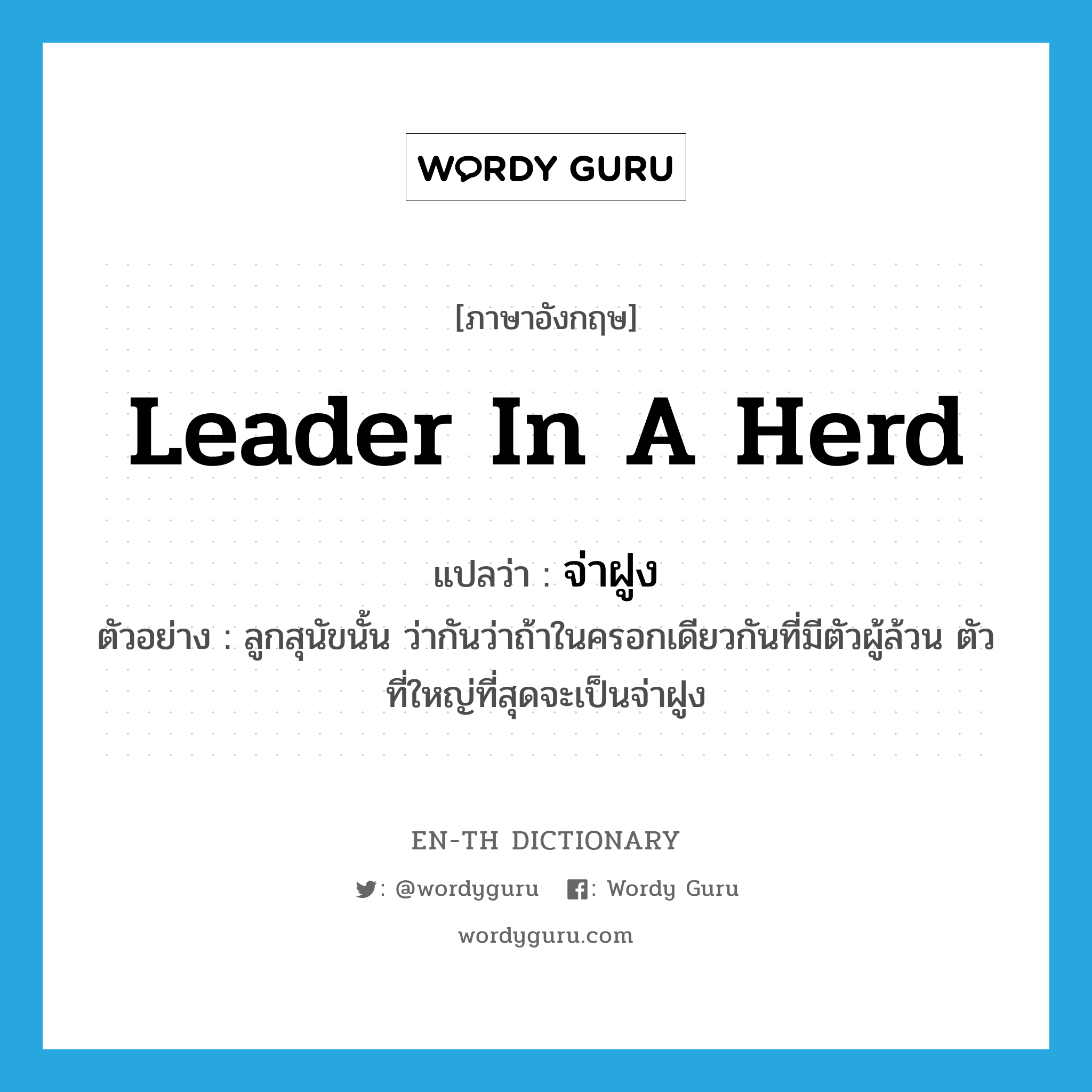 leader in a herd แปลว่า?, คำศัพท์ภาษาอังกฤษ leader in a herd แปลว่า จ่าฝูง ประเภท N ตัวอย่าง ลูกสุนัขนั้น ว่ากันว่าถ้าในครอกเดียวกันที่มีตัวผู้ล้วน ตัวที่ใหญ่ที่สุดจะเป็นจ่าฝูง หมวด N