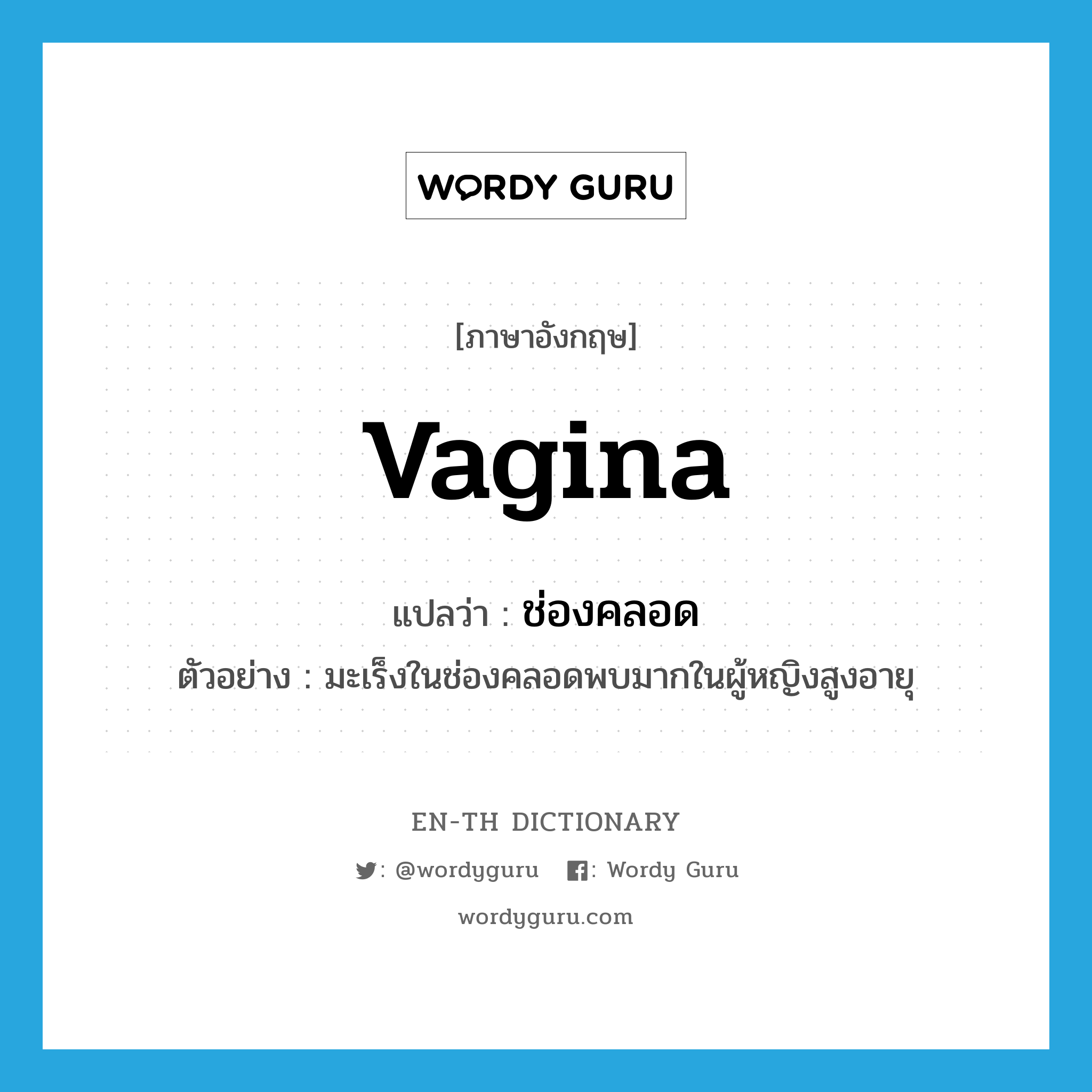 vagina แปลว่า?, คำศัพท์ภาษาอังกฤษ vagina แปลว่า ช่องคลอด ประเภท N ตัวอย่าง มะเร็งในช่องคลอดพบมากในผู้หญิงสูงอายุ หมวด N
