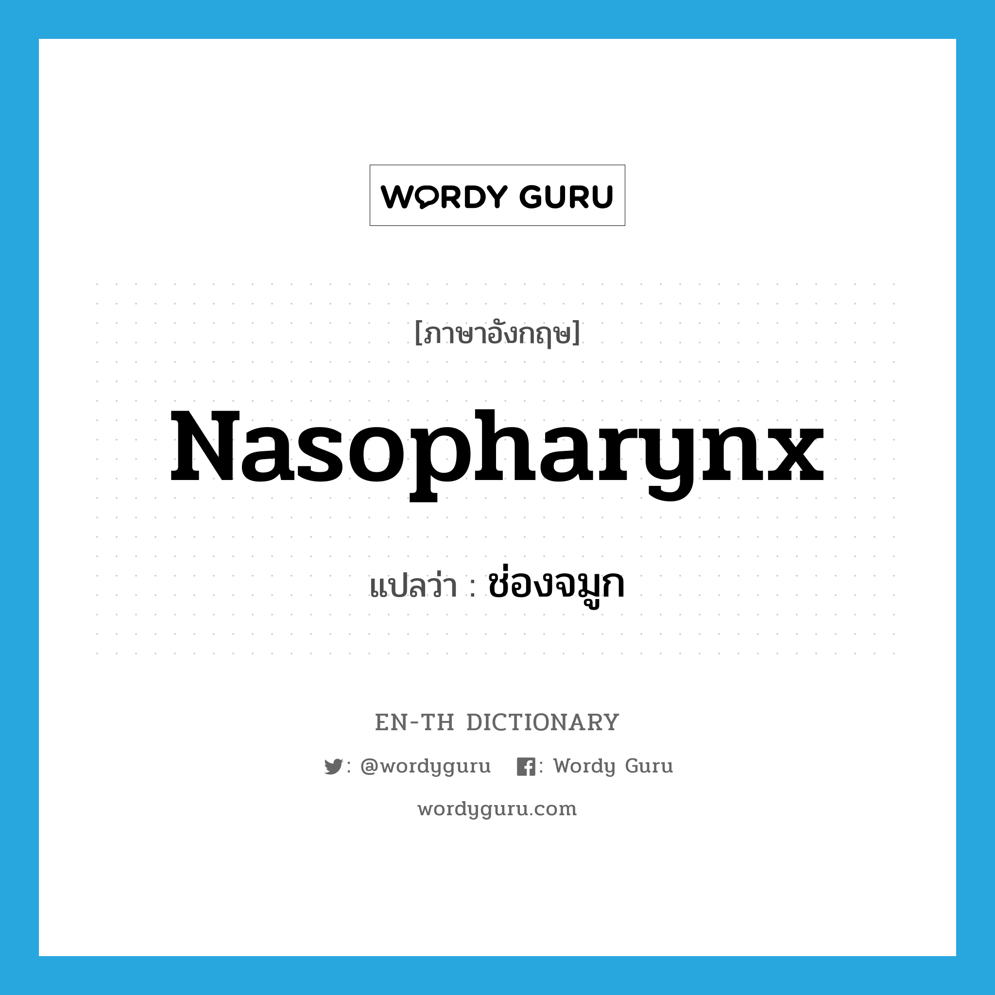 nasopharynx แปลว่า?, คำศัพท์ภาษาอังกฤษ nasopharynx แปลว่า ช่องจมูก ประเภท N หมวด N