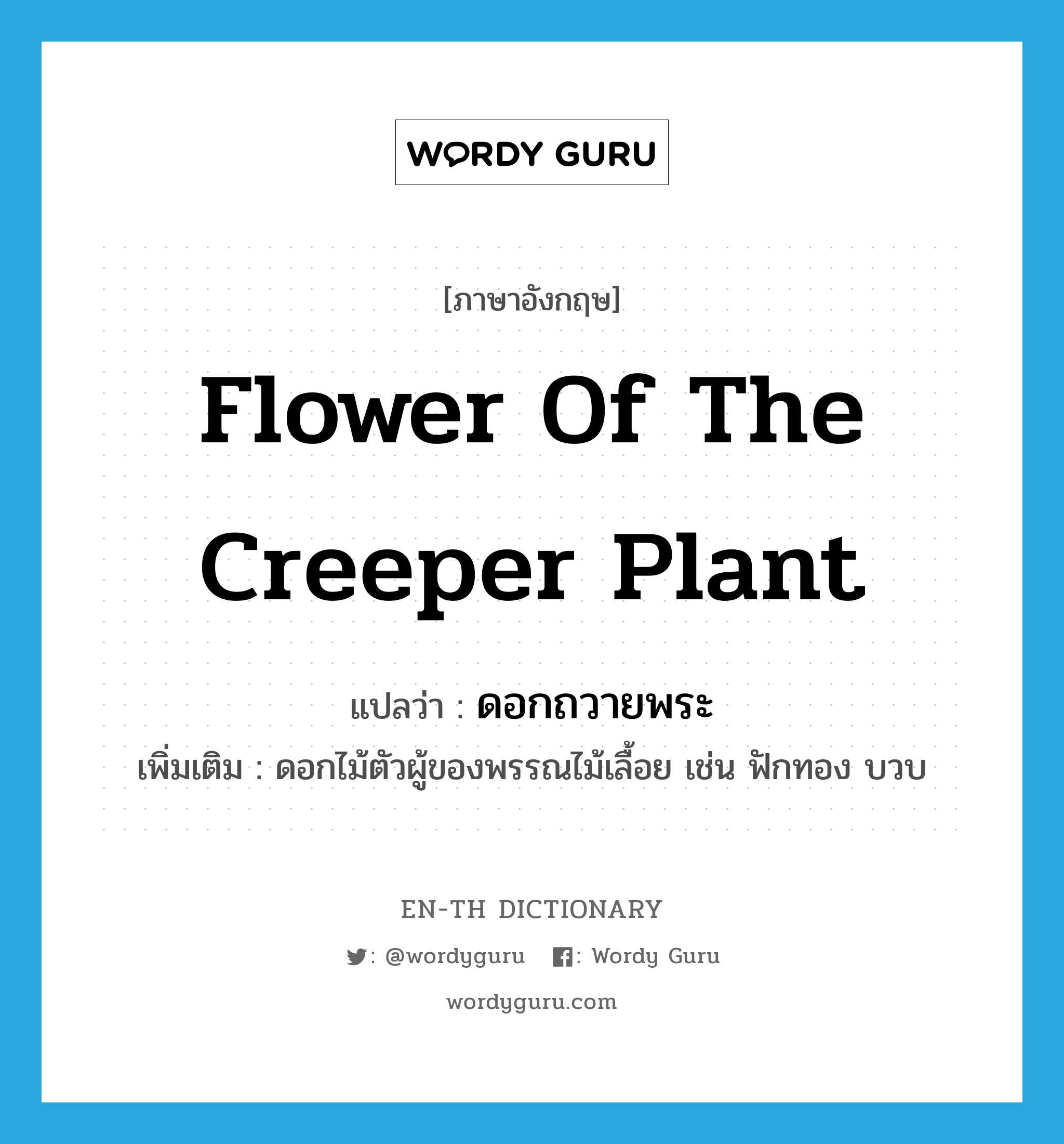 flower of the creeper plant แปลว่า?, คำศัพท์ภาษาอังกฤษ flower of the creeper plant แปลว่า ดอกถวายพระ ประเภท N เพิ่มเติม ดอกไม้ตัวผู้ของพรรณไม้เลื้อย เช่น ฟักทอง บวบ หมวด N