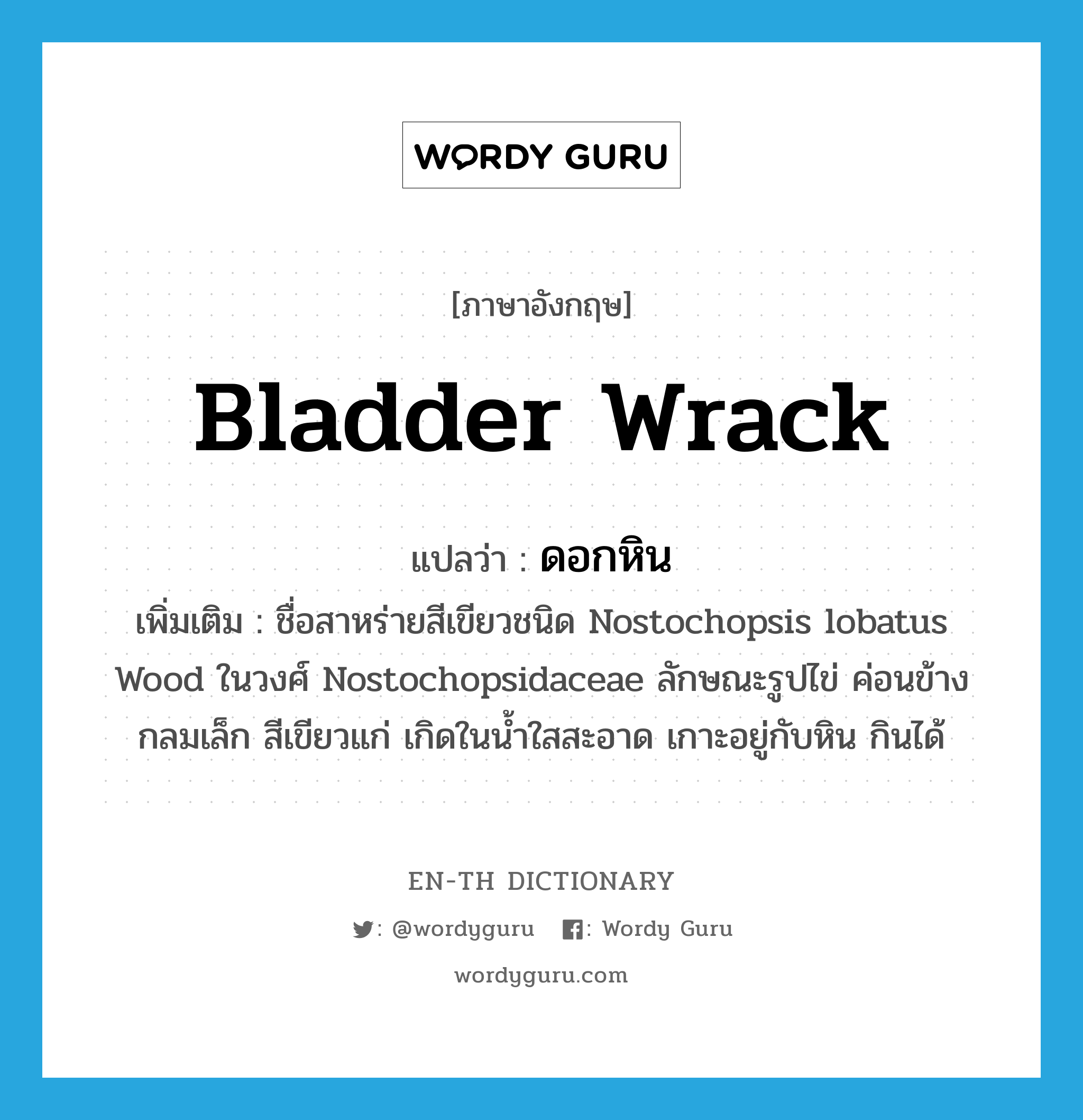 bladder wrack แปลว่า?, คำศัพท์ภาษาอังกฤษ bladder wrack แปลว่า ดอกหิน ประเภท N เพิ่มเติม ชื่อสาหร่ายสีเขียวชนิด Nostochopsis lobatus Wood ในวงศ์ Nostochopsidaceae ลักษณะรูปไข่ ค่อนข้างกลมเล็ก สีเขียวแก่ เกิดในน้ำใสสะอาด เกาะอยู่กับหิน กินได้ หมวด N