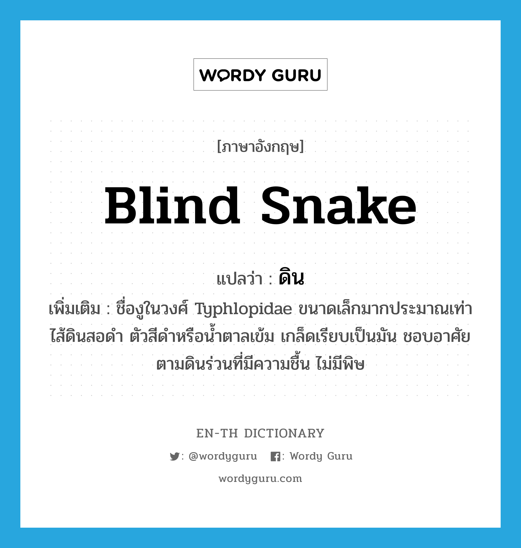 blind snake แปลว่า?, คำศัพท์ภาษาอังกฤษ blind snake แปลว่า ดิน ประเภท N เพิ่มเติม ชื่องูในวงศ์ Typhlopidae ขนาดเล็กมากประมาณเท่าไส้ดินสอดำ ตัวสีดำหรือน้ำตาลเข้ม เกล็ดเรียบเป็นมัน ชอบอาศัยตามดินร่วนที่มีความชื้น ไม่มีพิษ หมวด N
